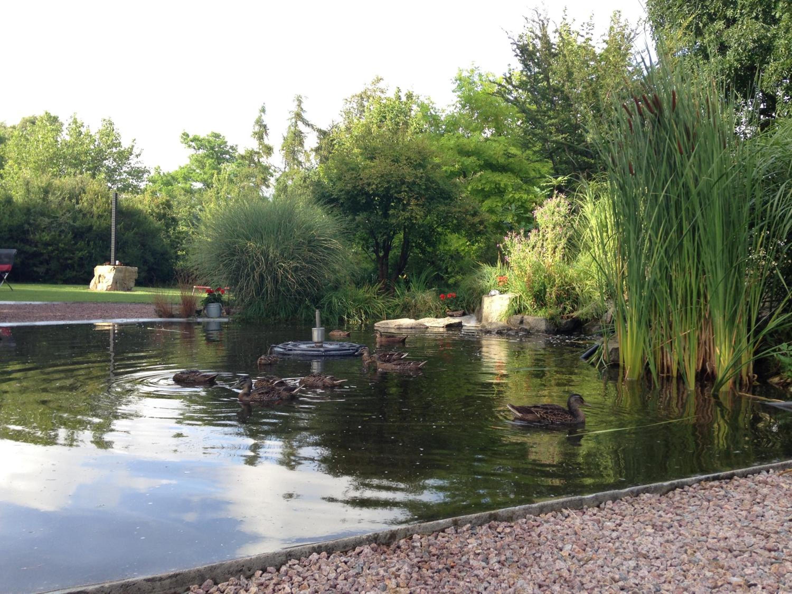 Solrosen i Simrishamn - Österlen