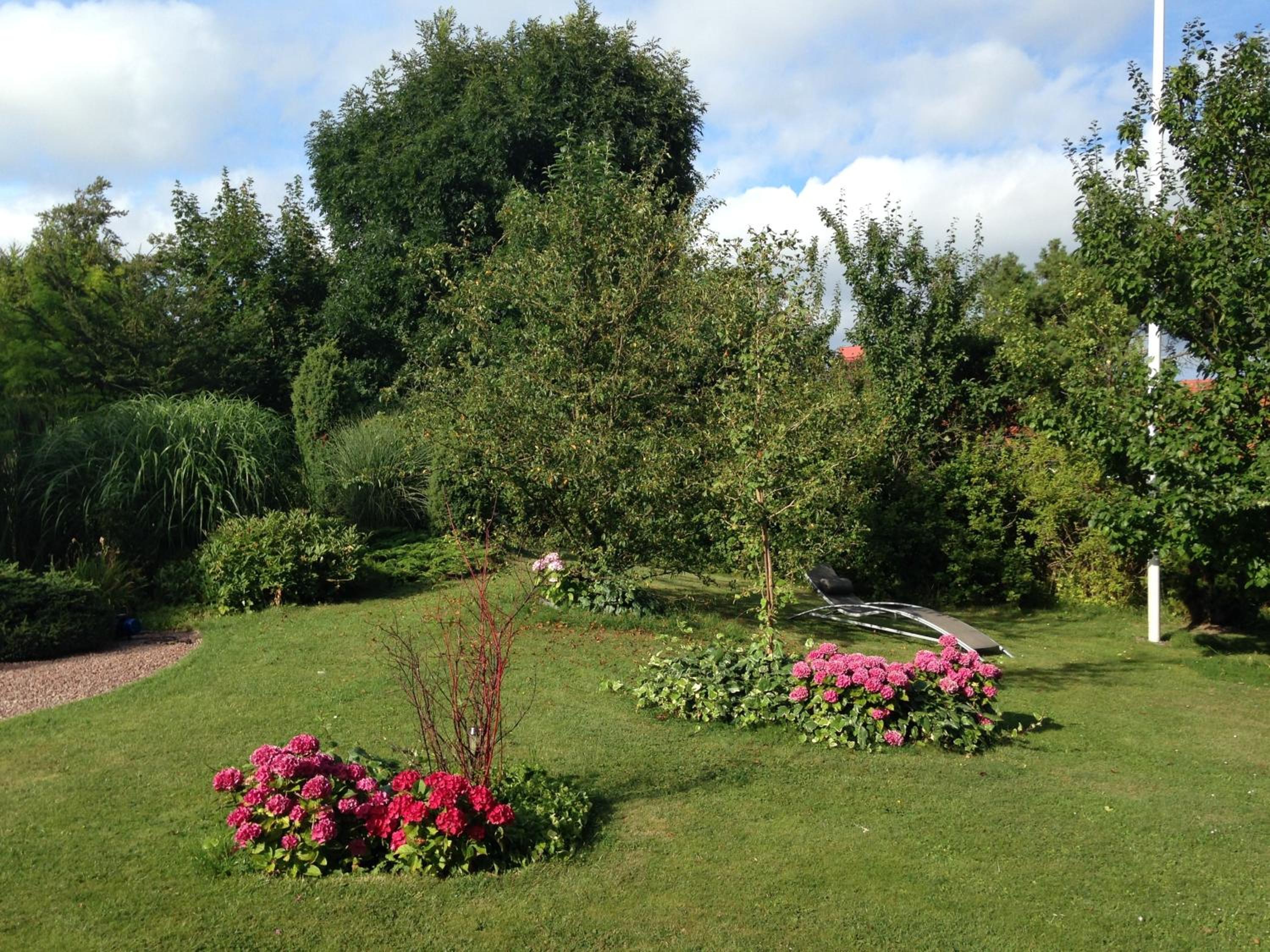 Solrosen i Simrishamn - Österlen