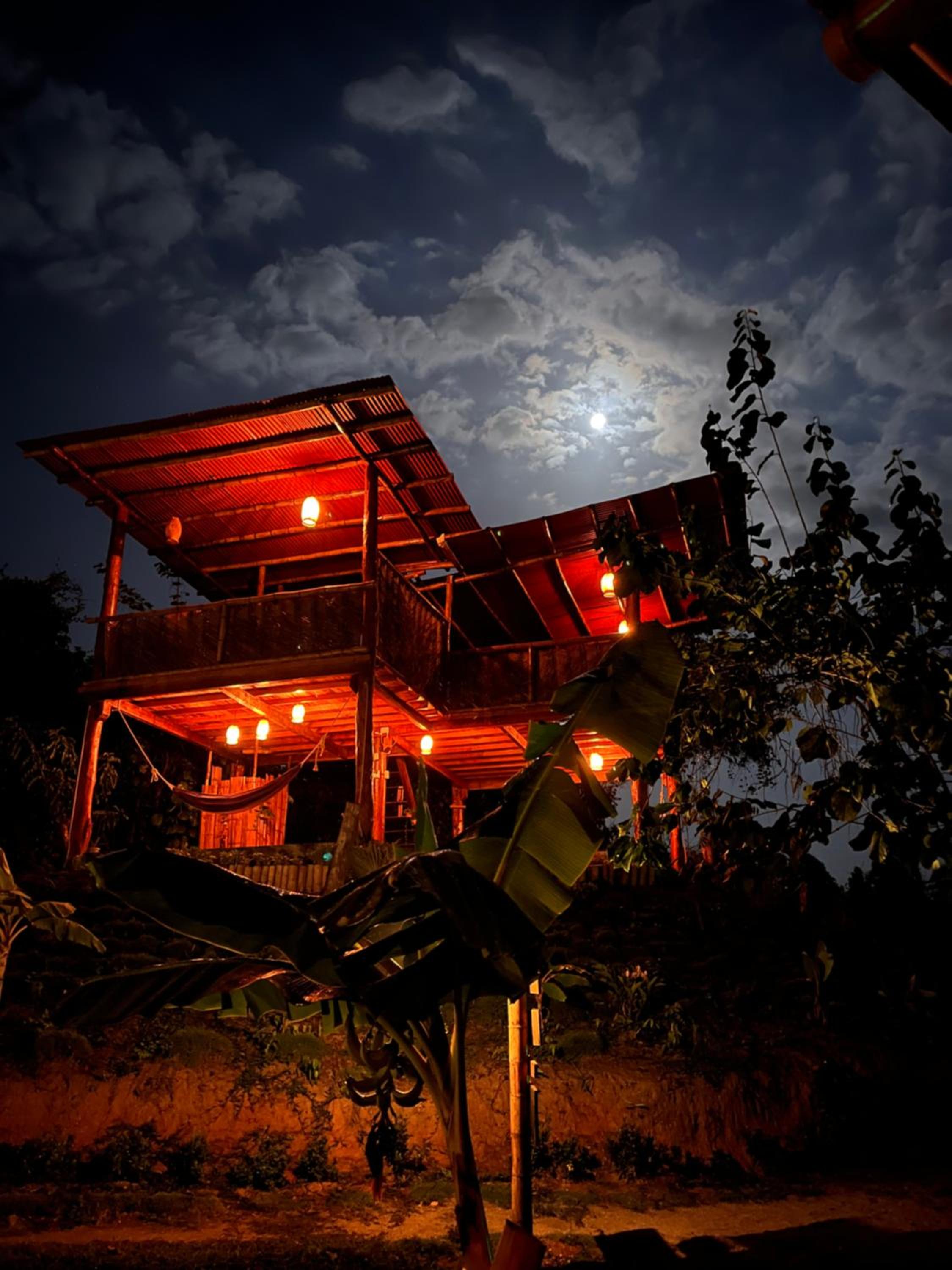 The Valley Tayrona hostel- A social jungle hostel