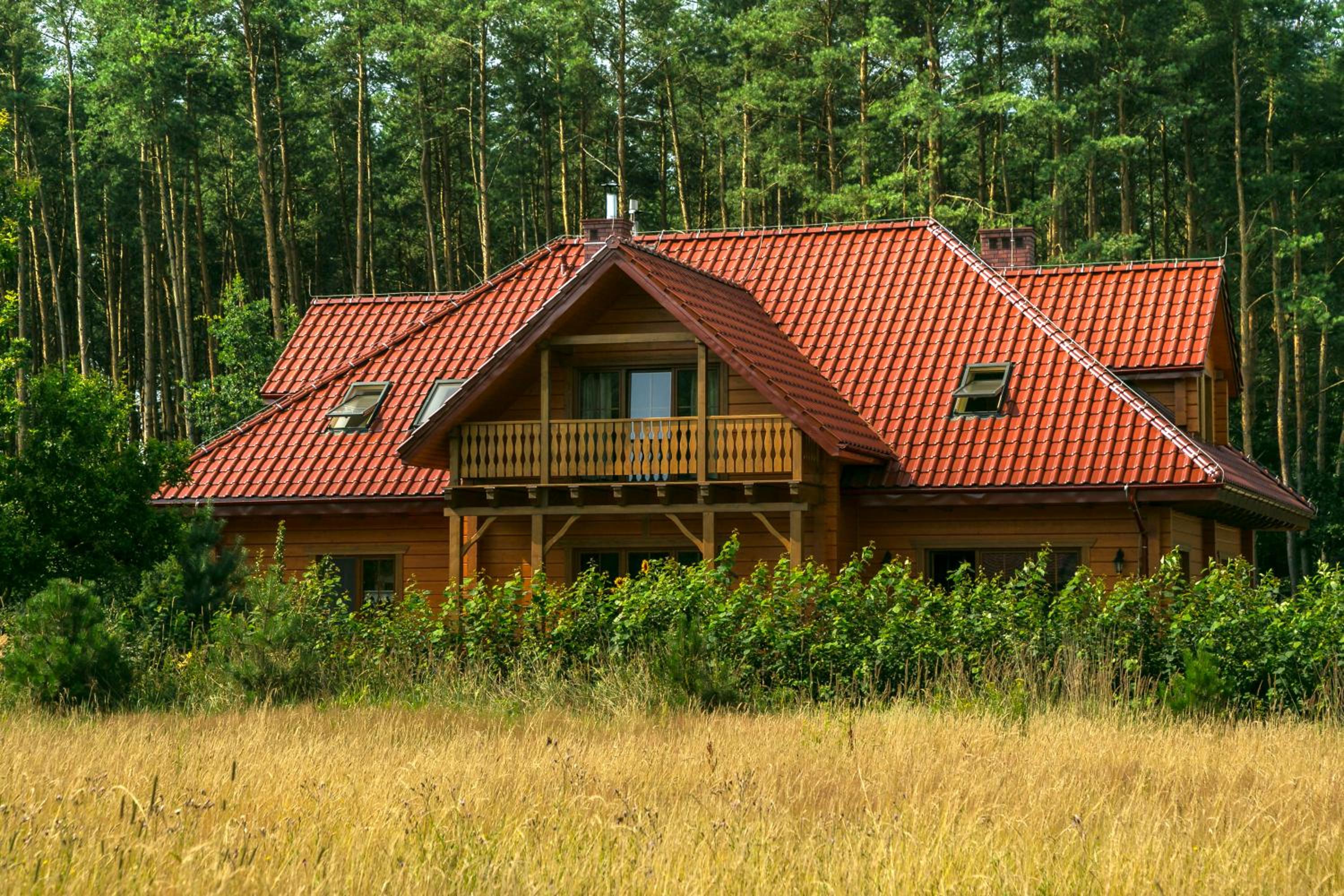 Ośrodek Szkoleniowy Za Lasem view 2