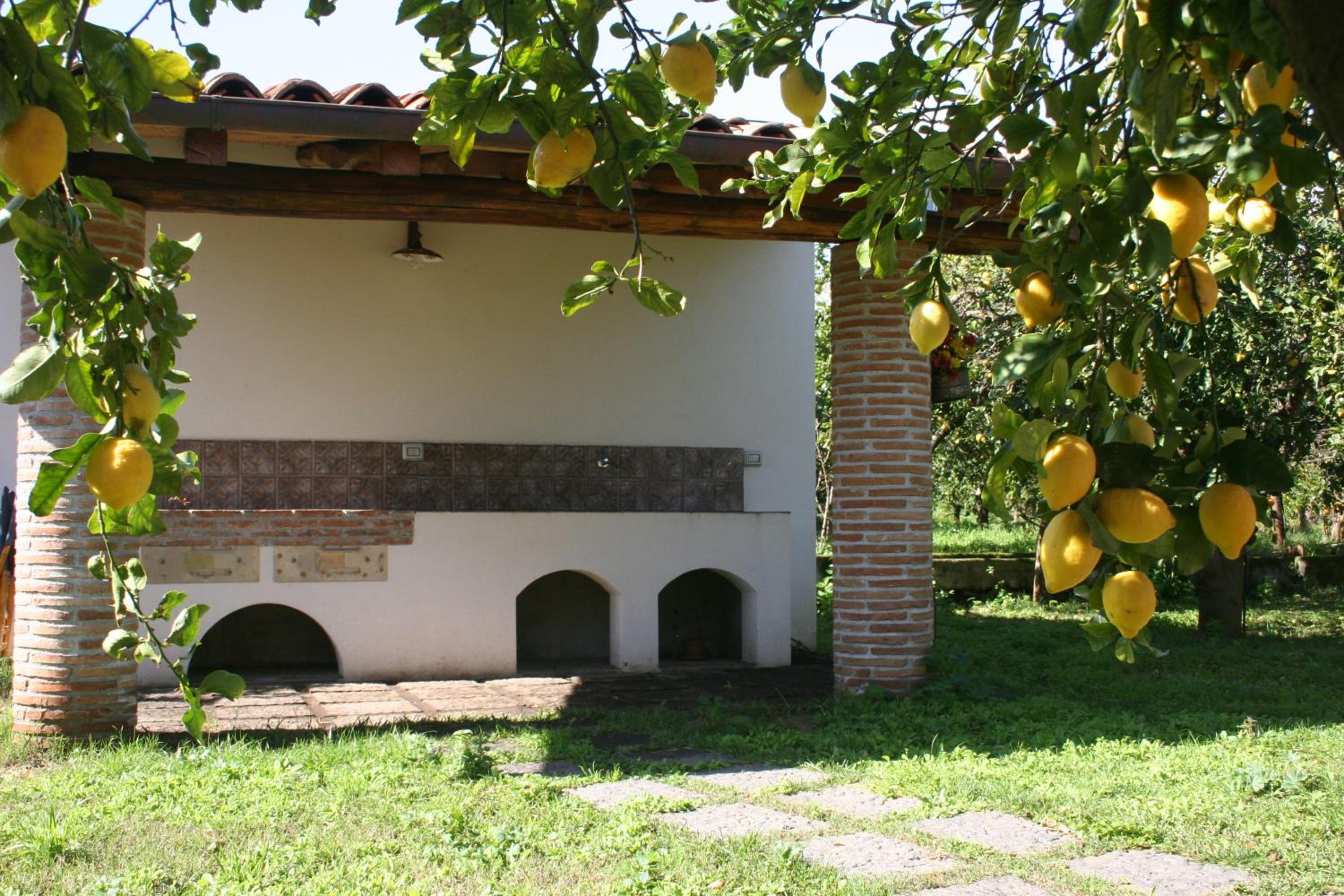 Photo 49