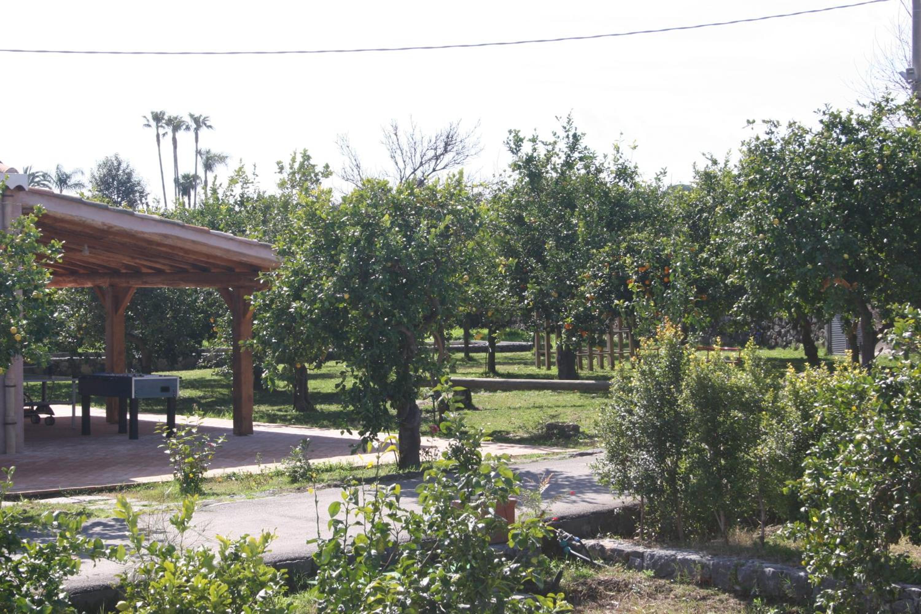 Photo 43