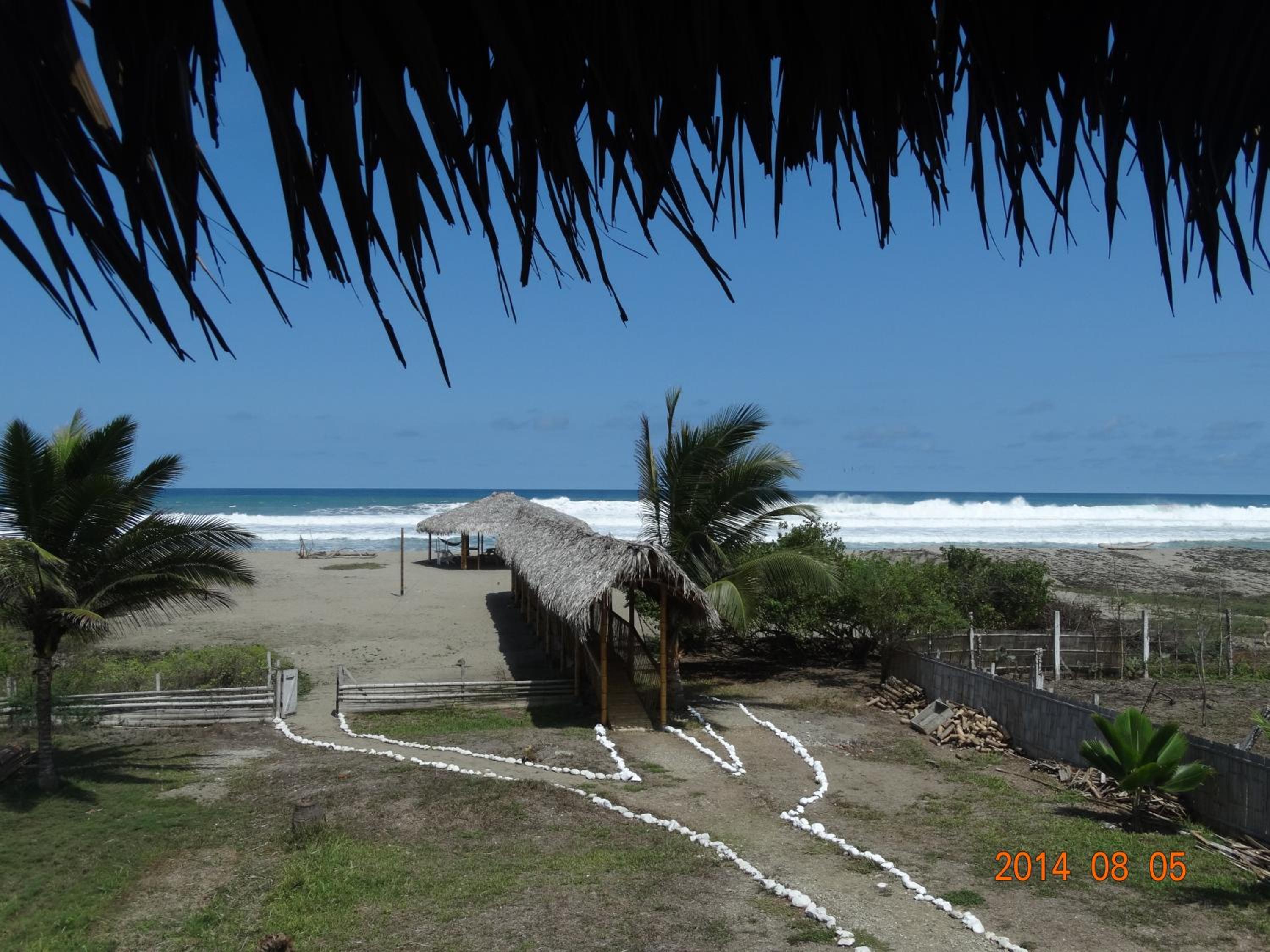 Photo 31