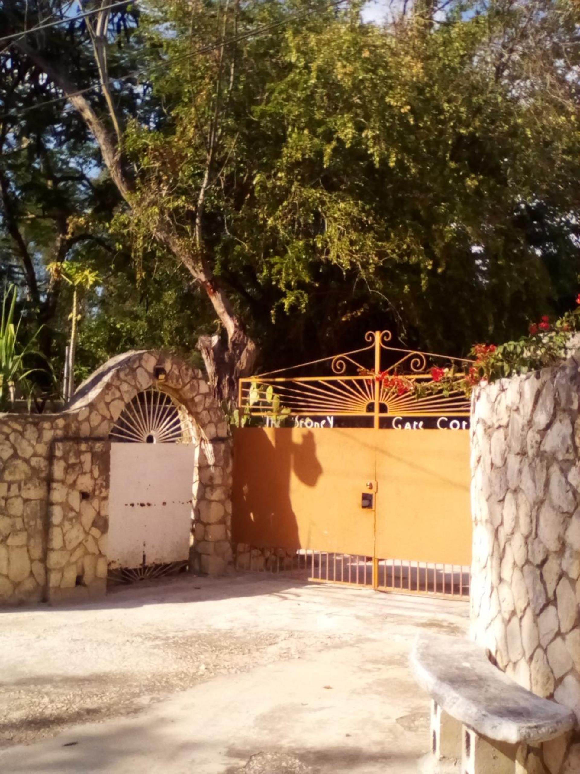 Photo 18