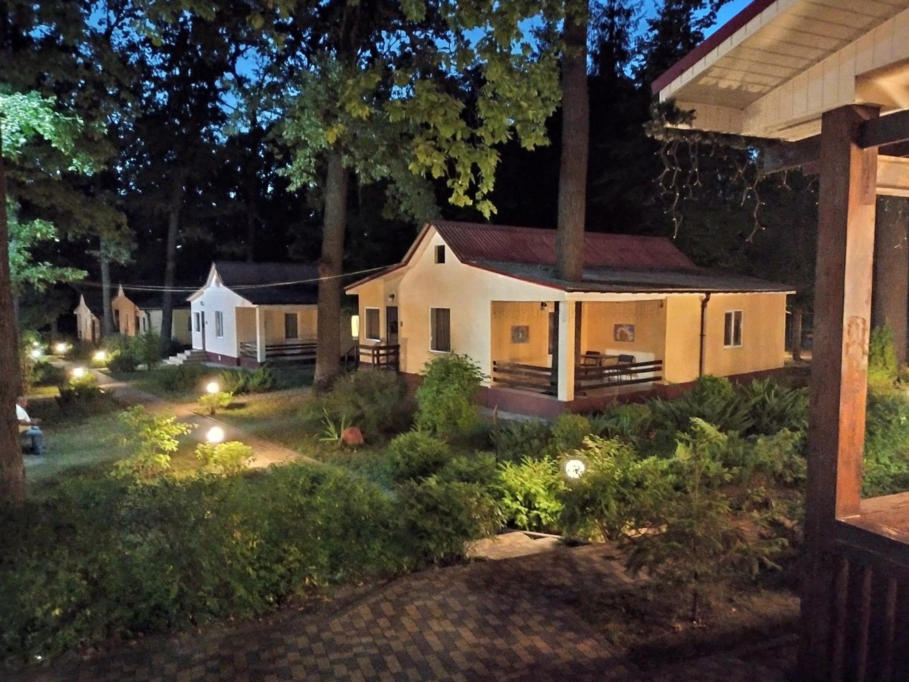 Photo 23