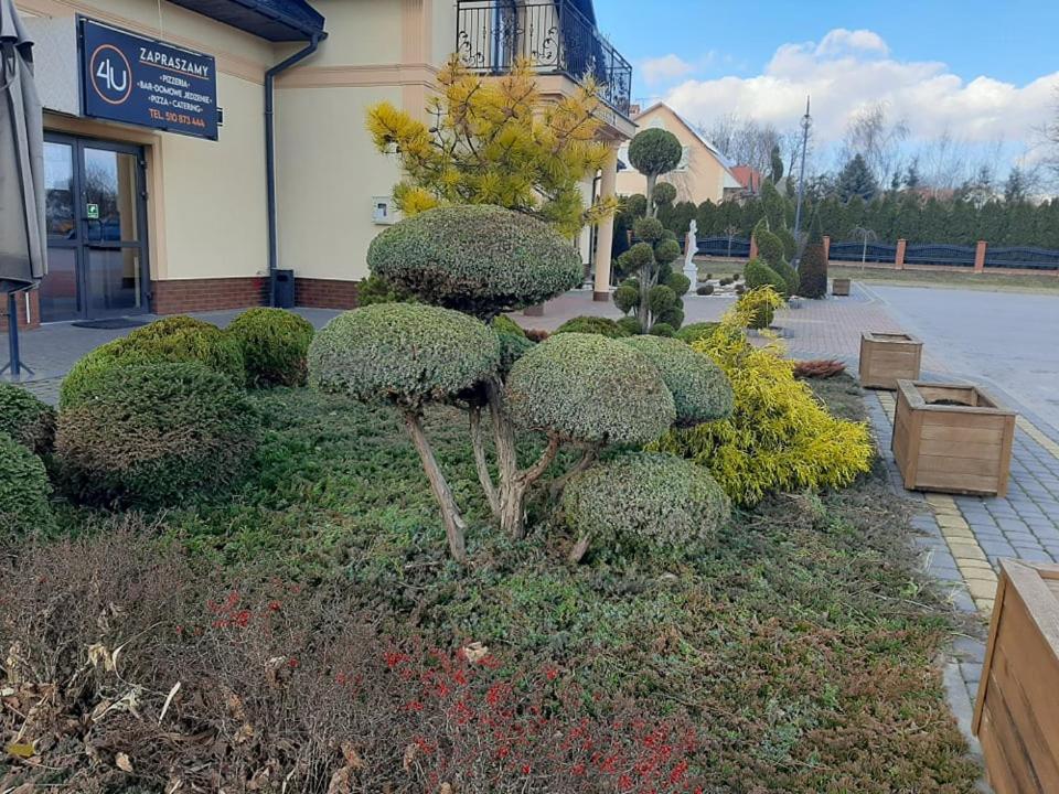 Photo 18