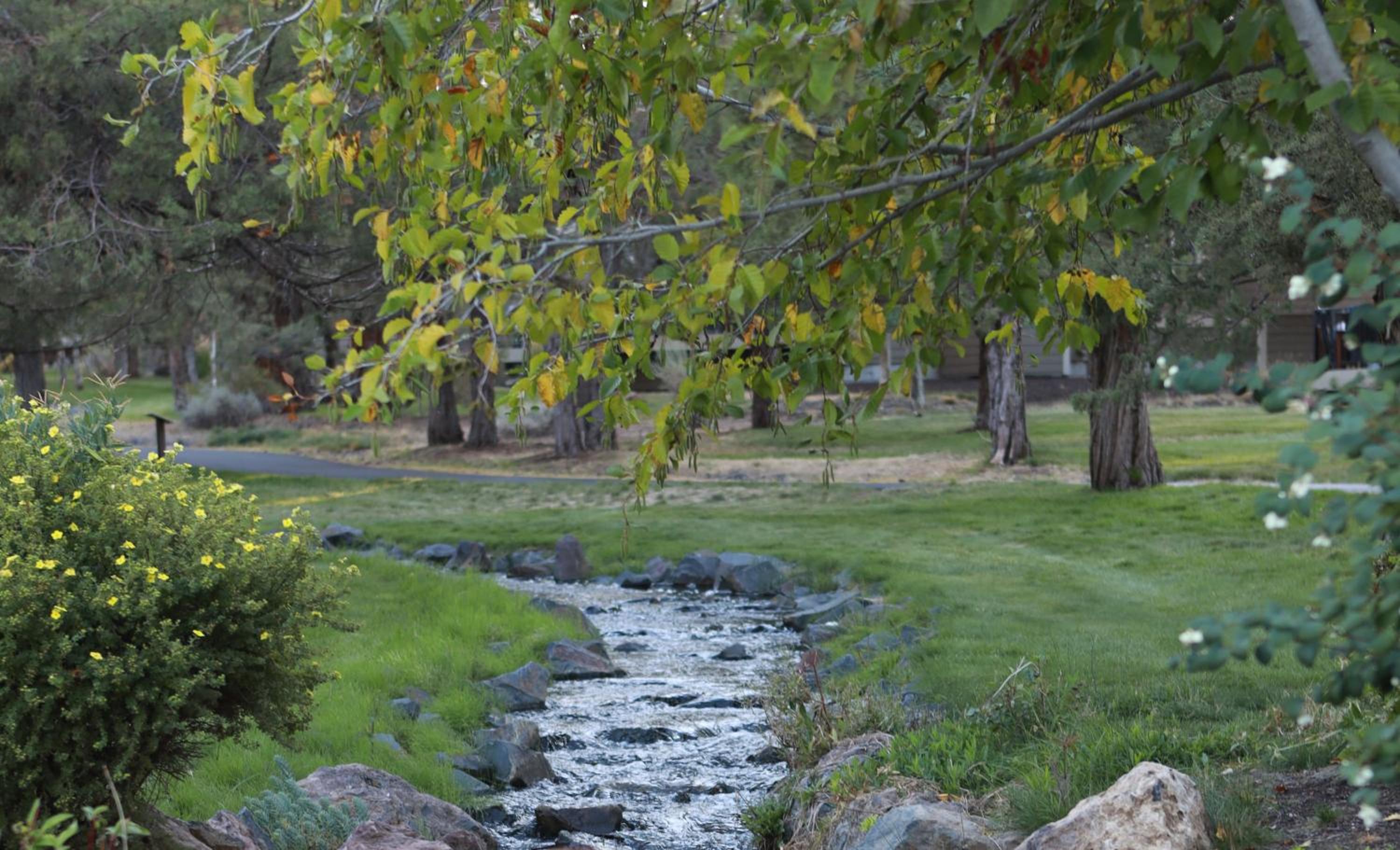 Creekside view 3