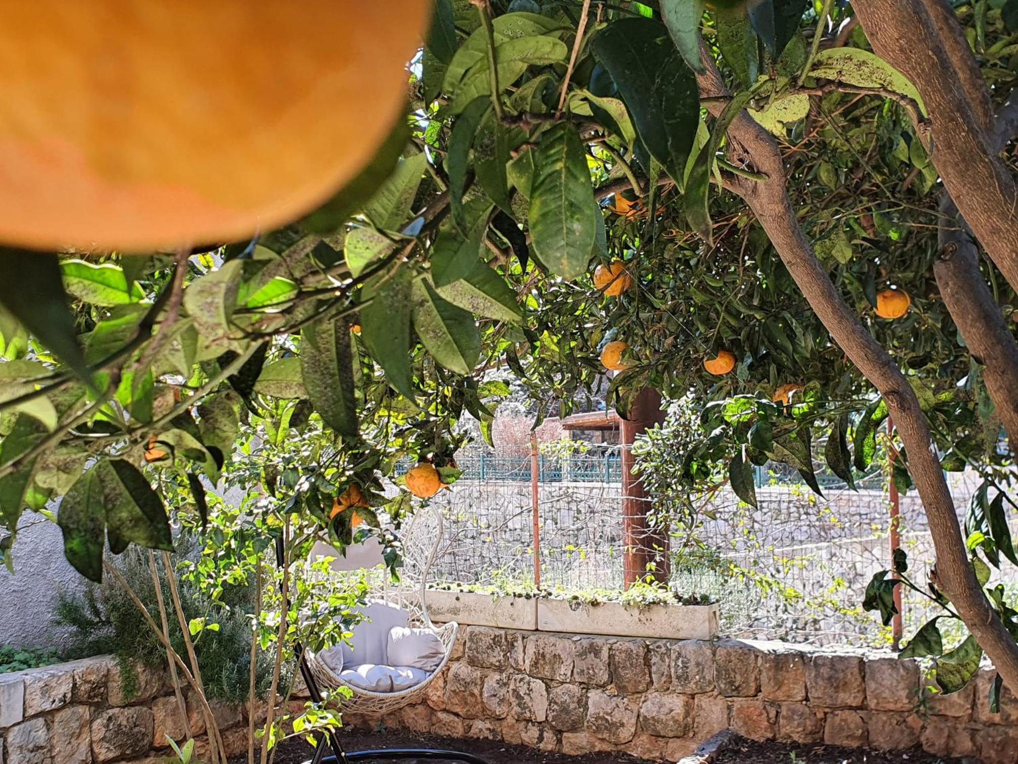 Barbara's Garden Apartment