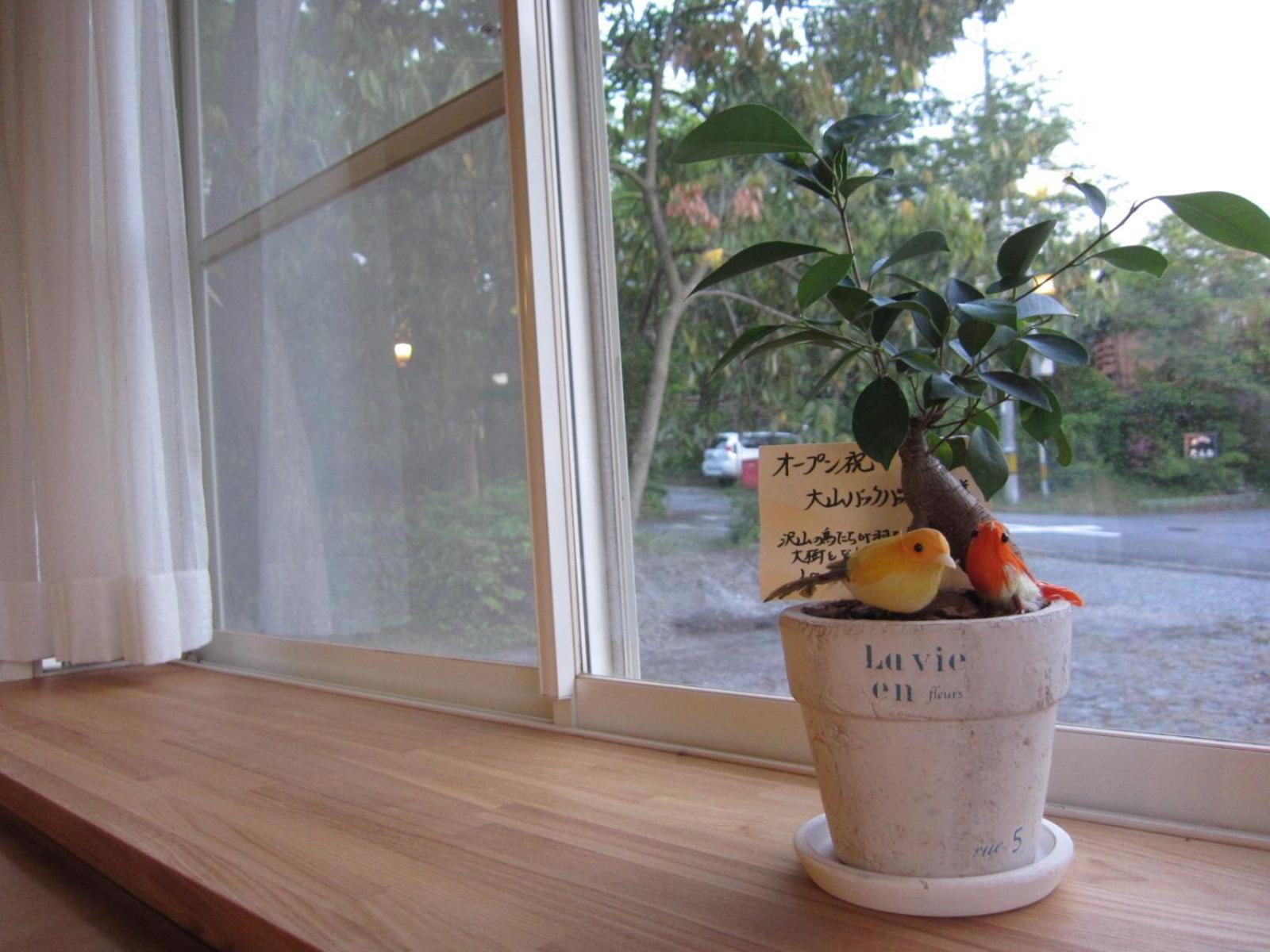 Photo 46