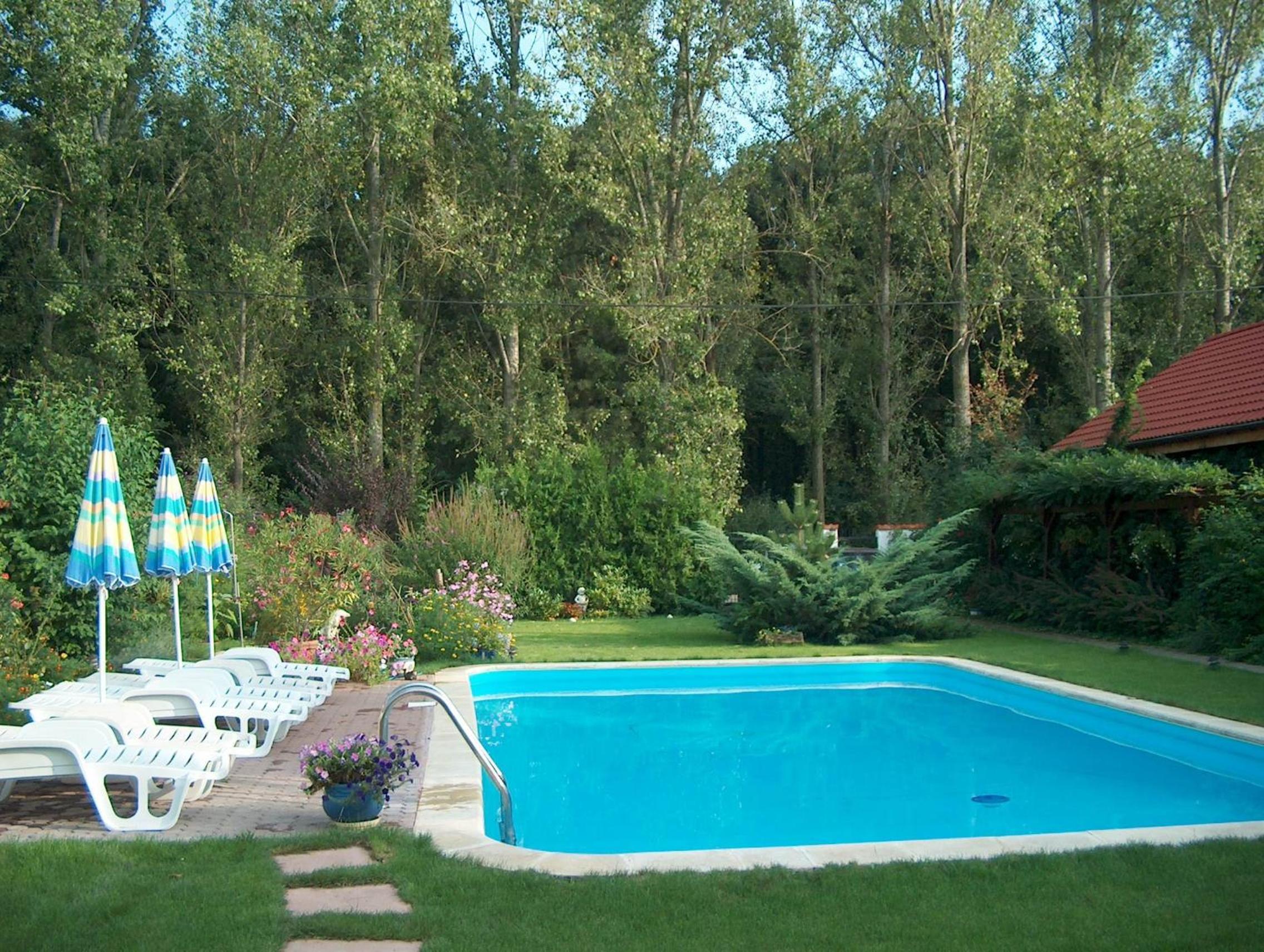 Vila Poiana view 4