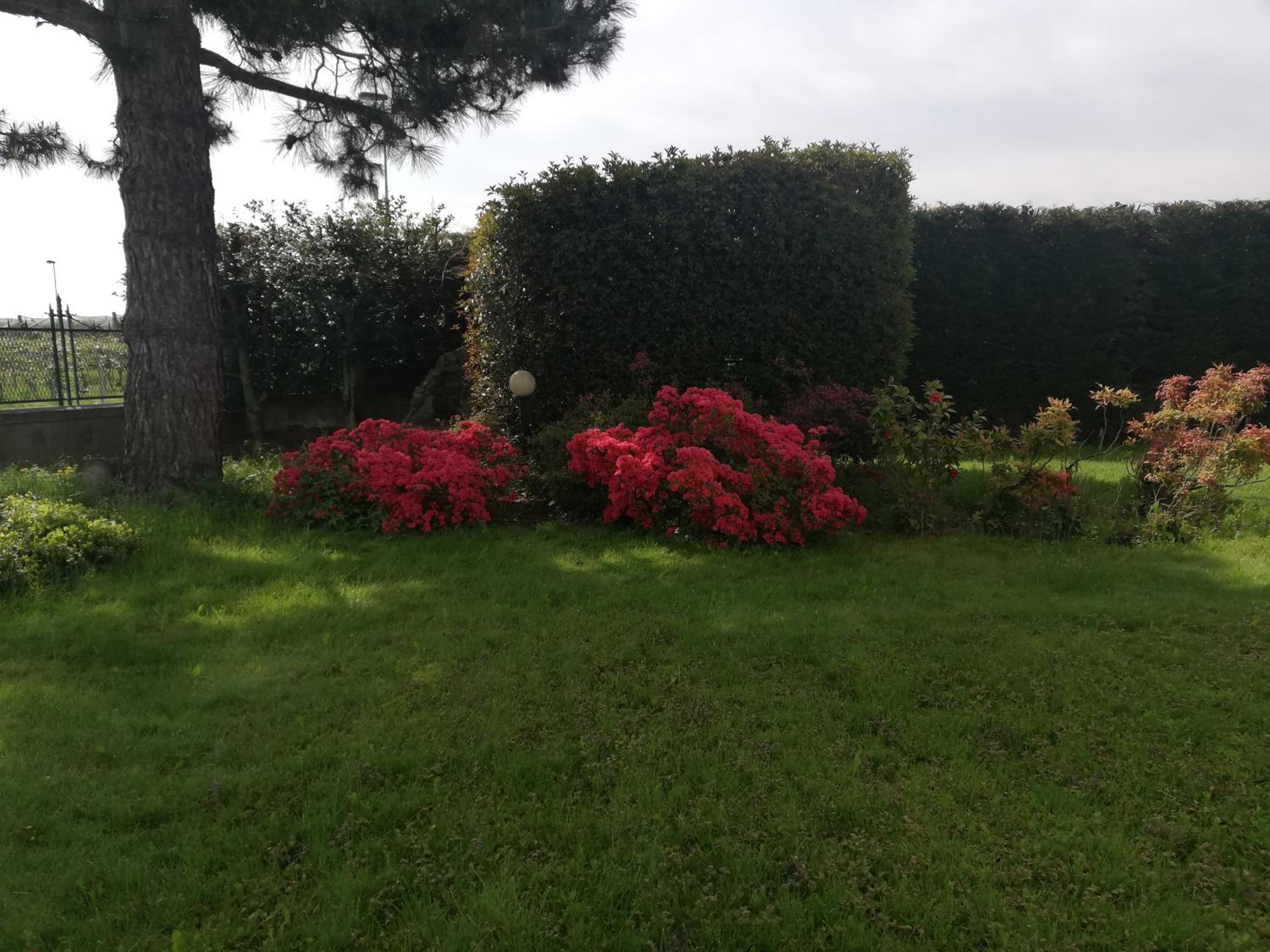 Villa Ceirano