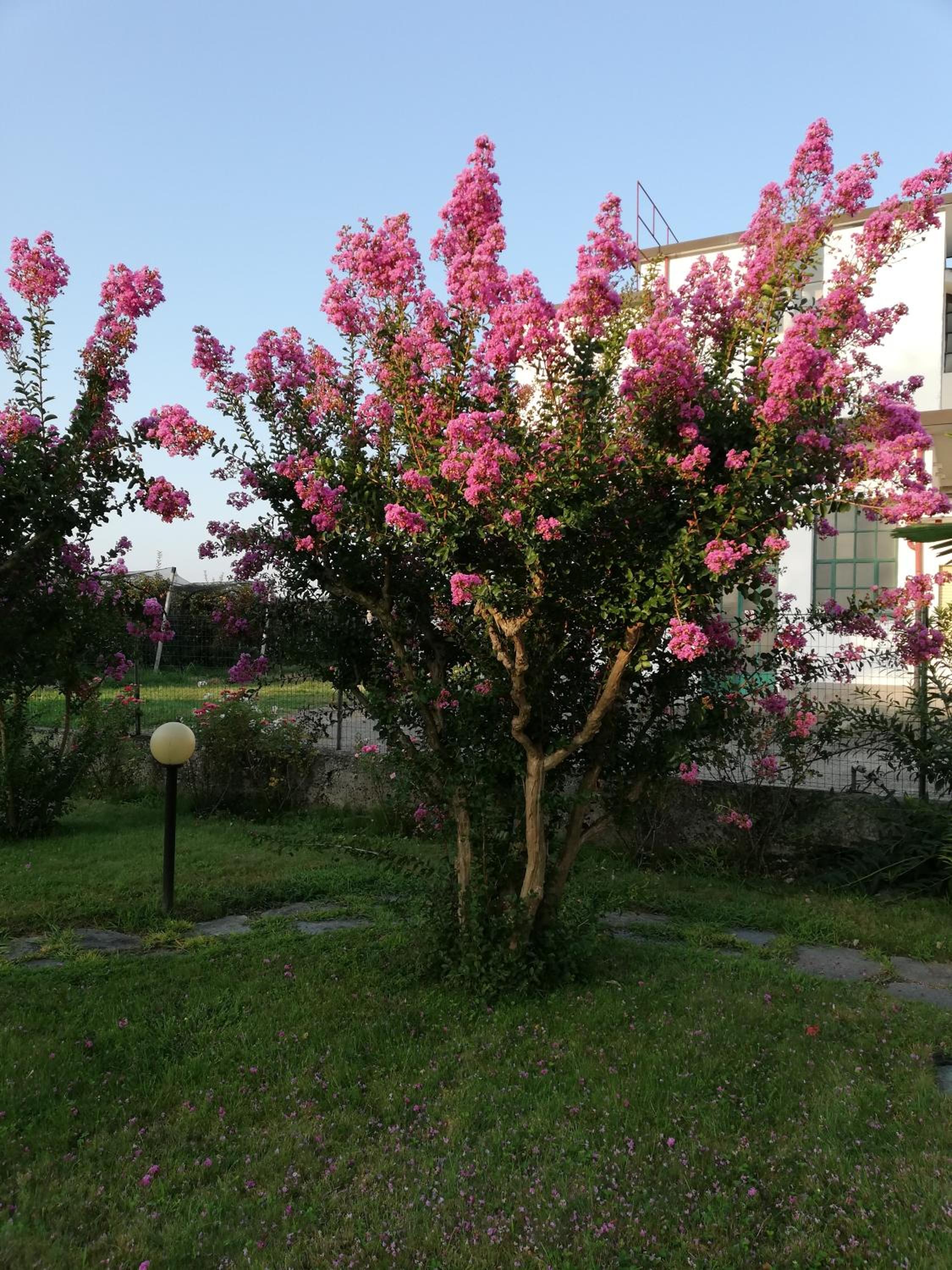 Villa Ceirano