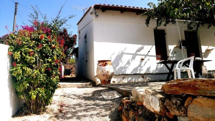 Photo 25