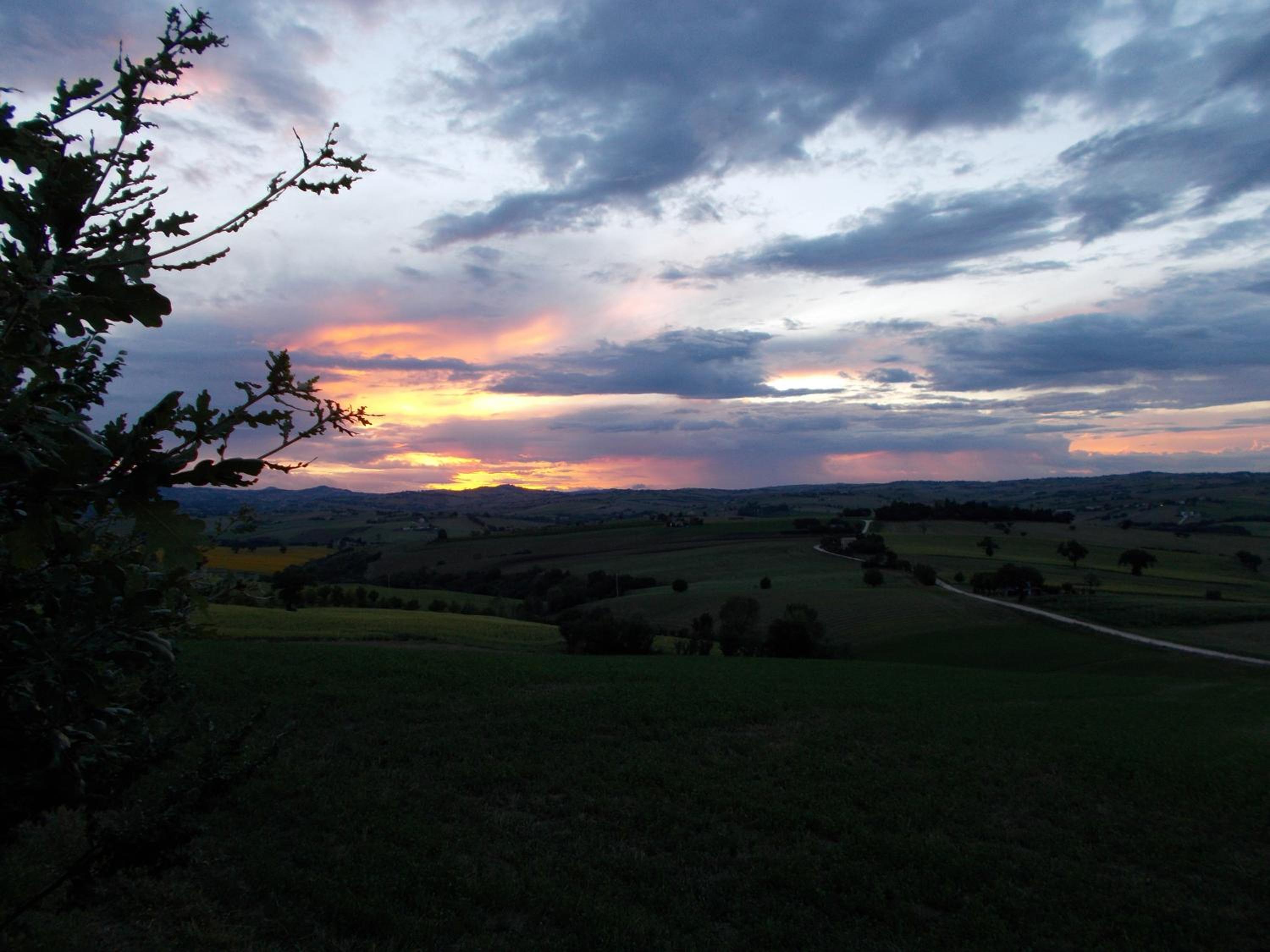 Dolcedimora