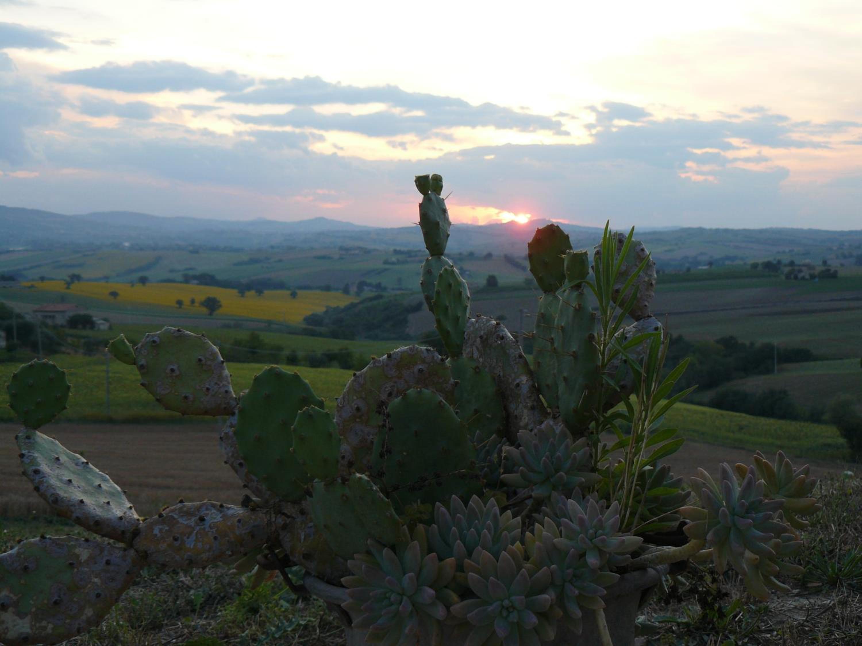 Dolcedimora