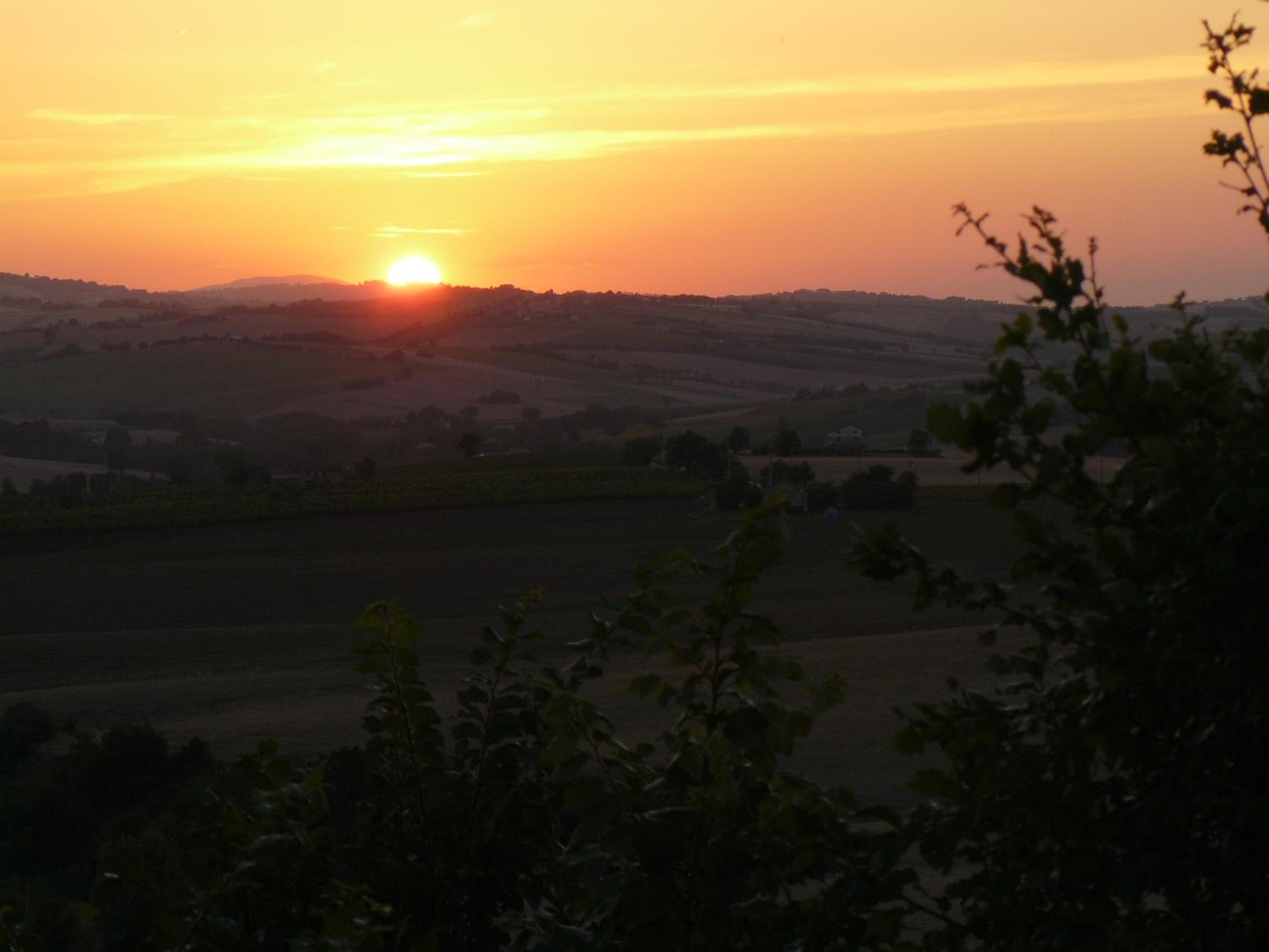 Dolcedimora