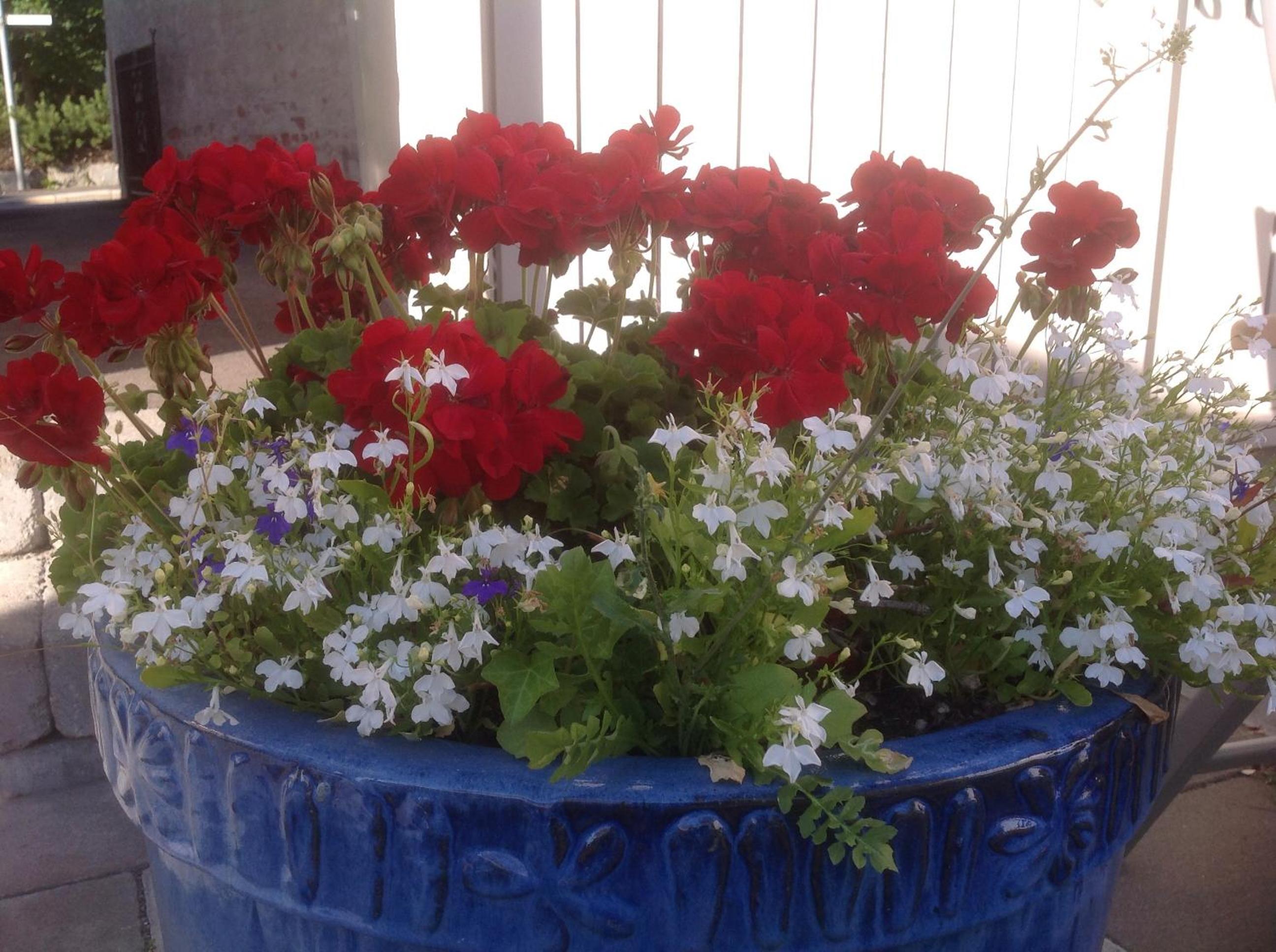 Bed & Breakfast Villa Sedin