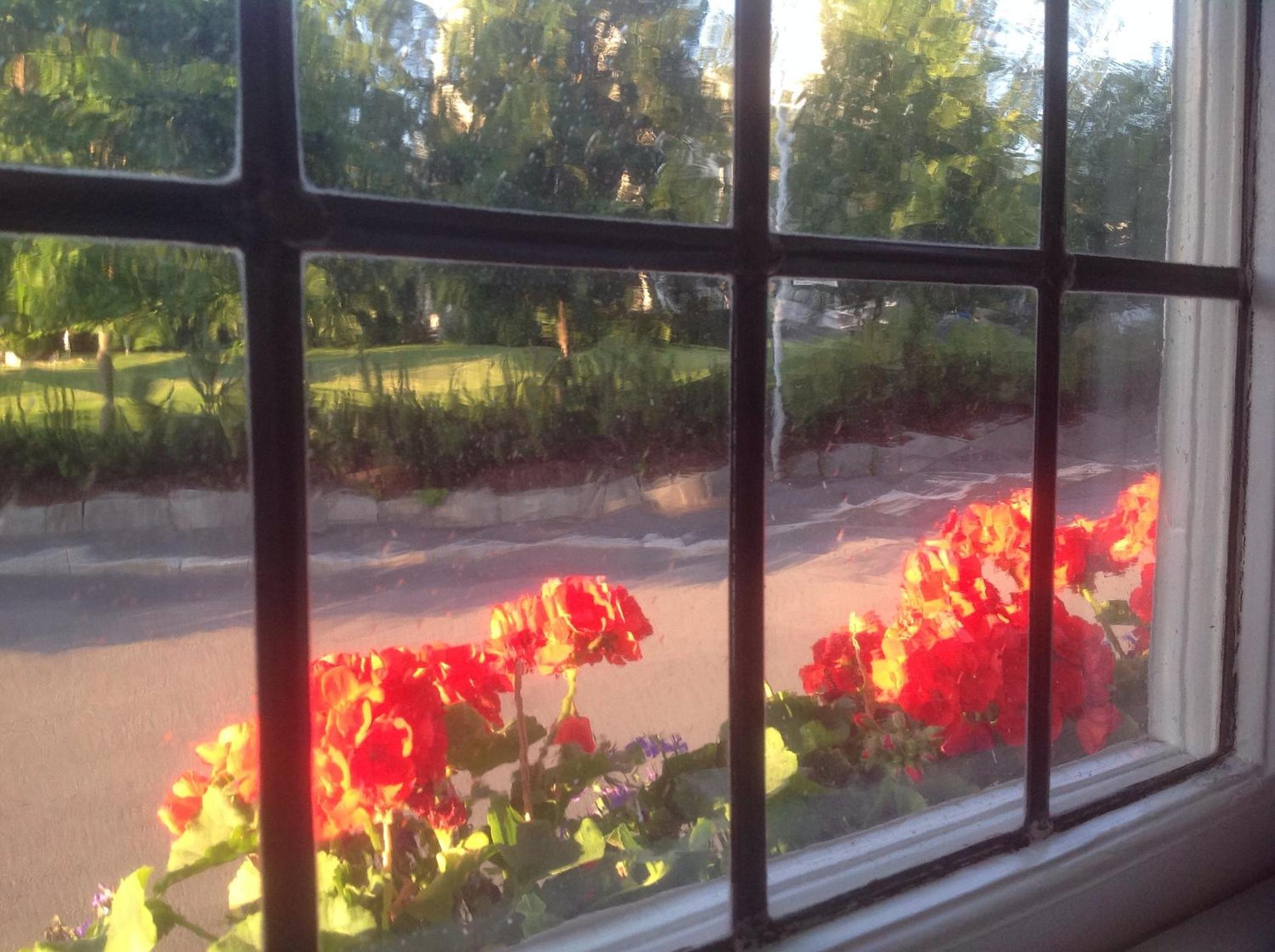 Bed & Breakfast Villa Sedin, photo 14