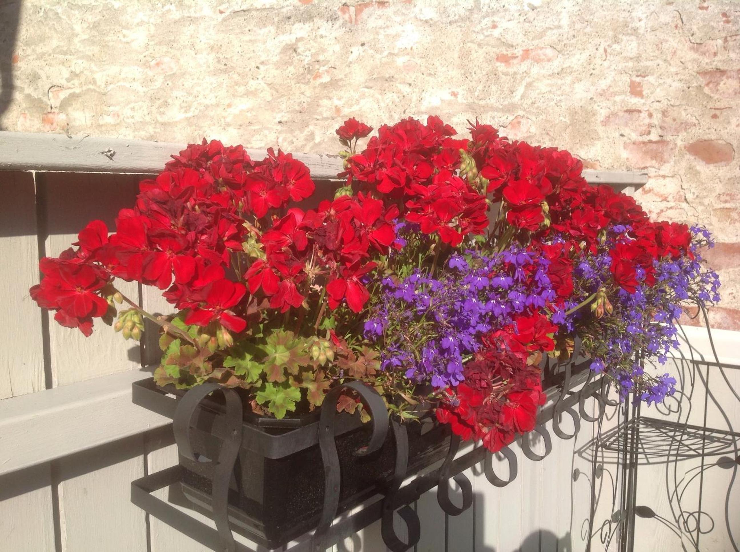 Bed & Breakfast Villa Sedin, photo 27