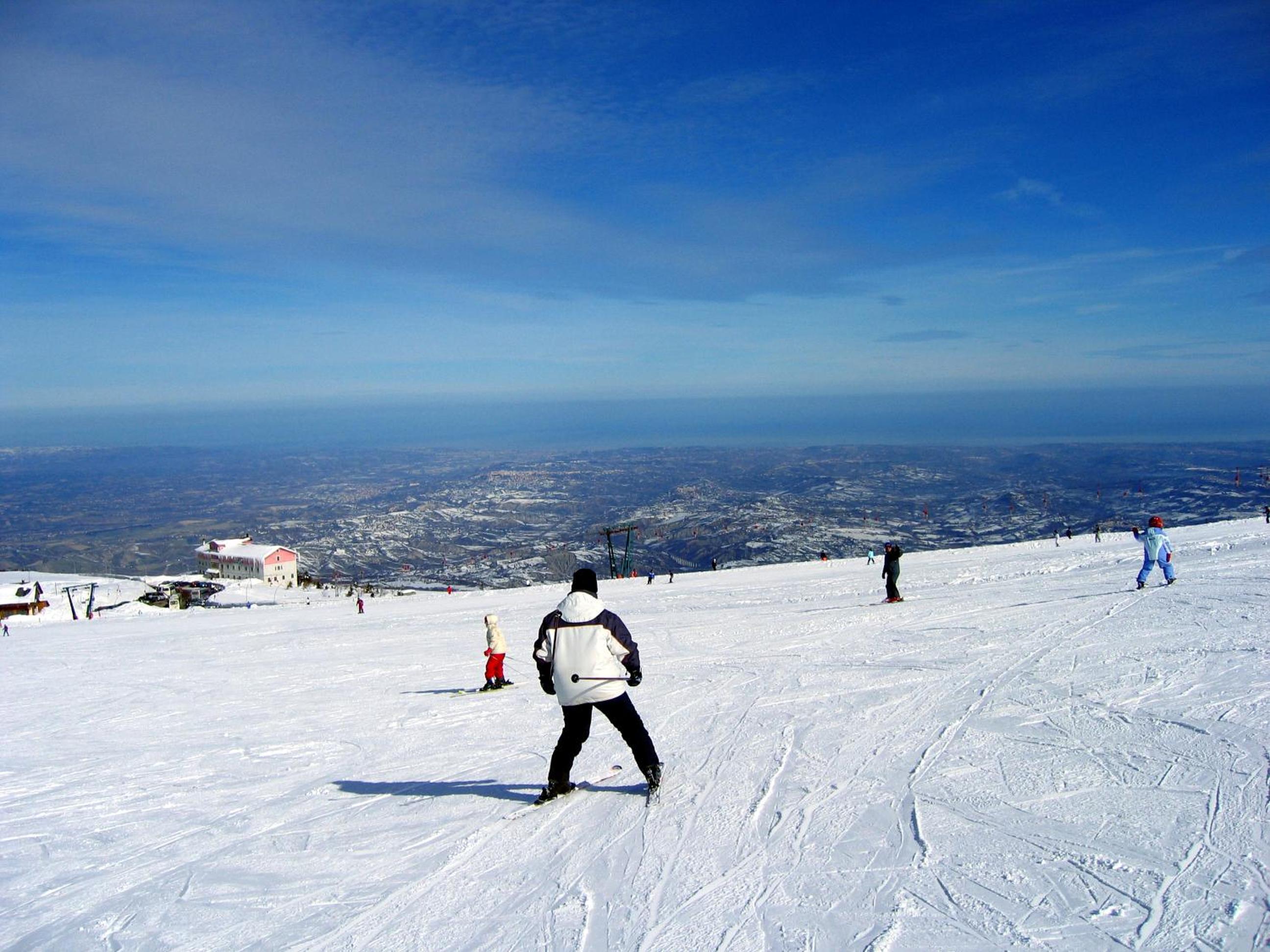 Photo 43