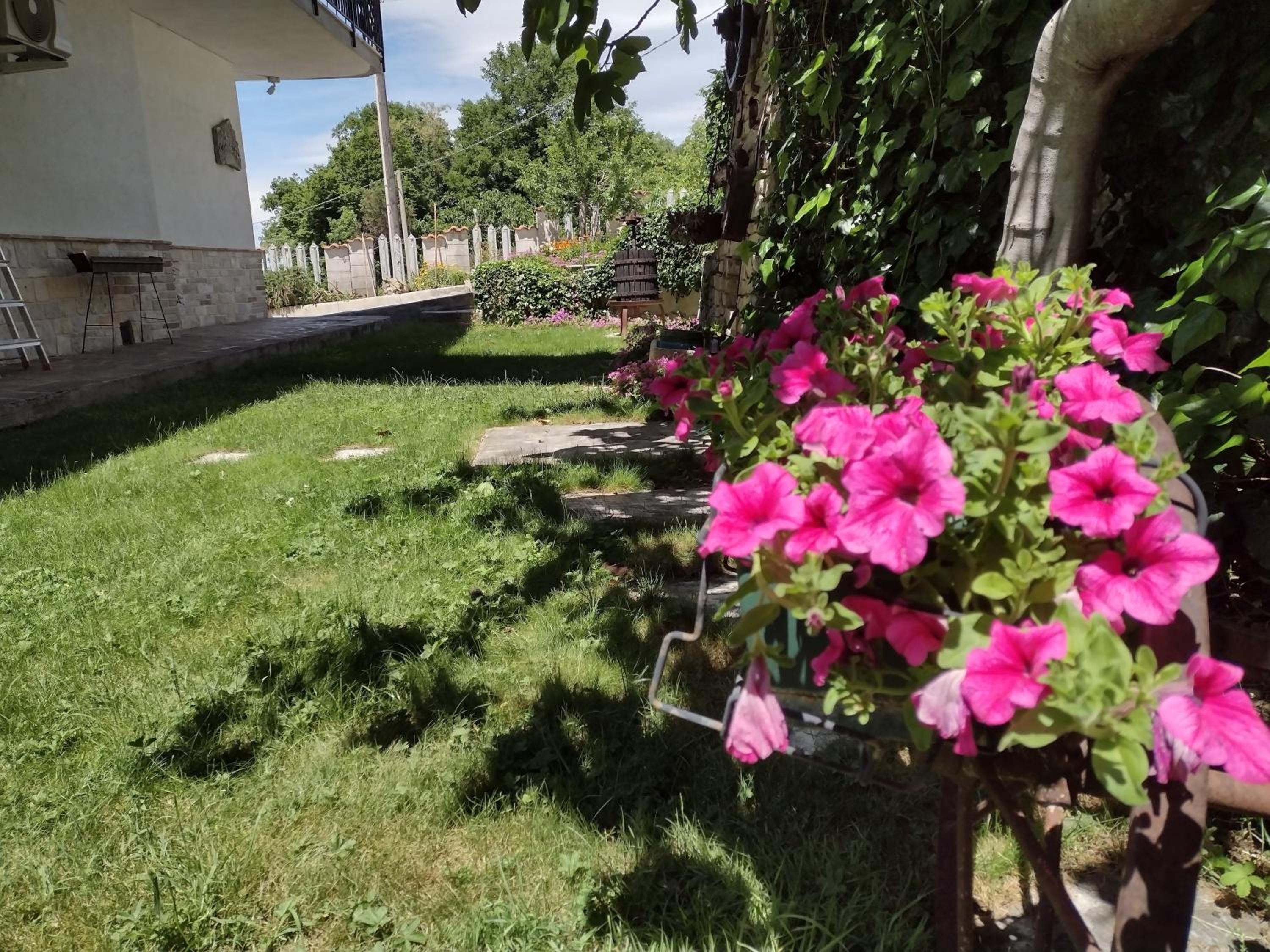 Photo 26