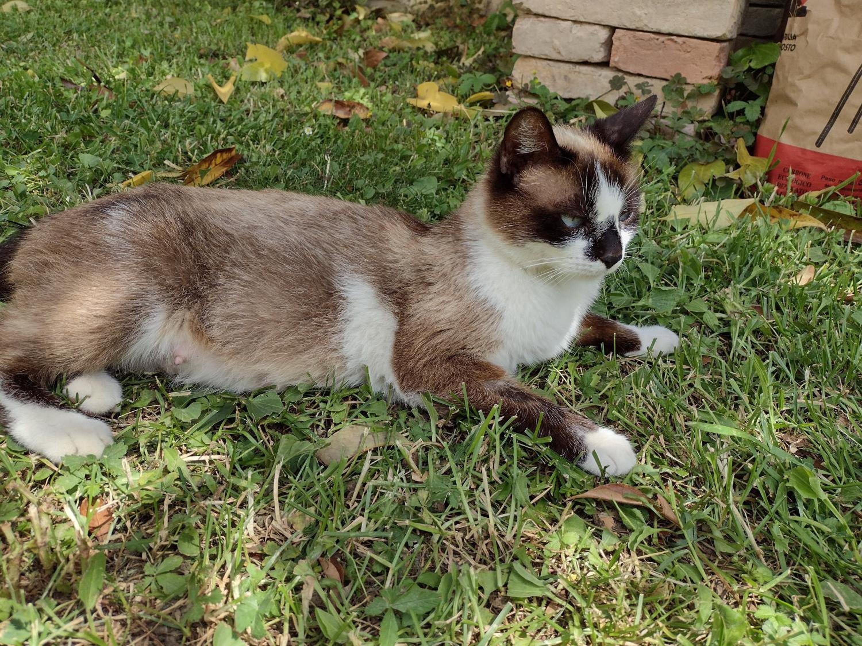 Photo 23