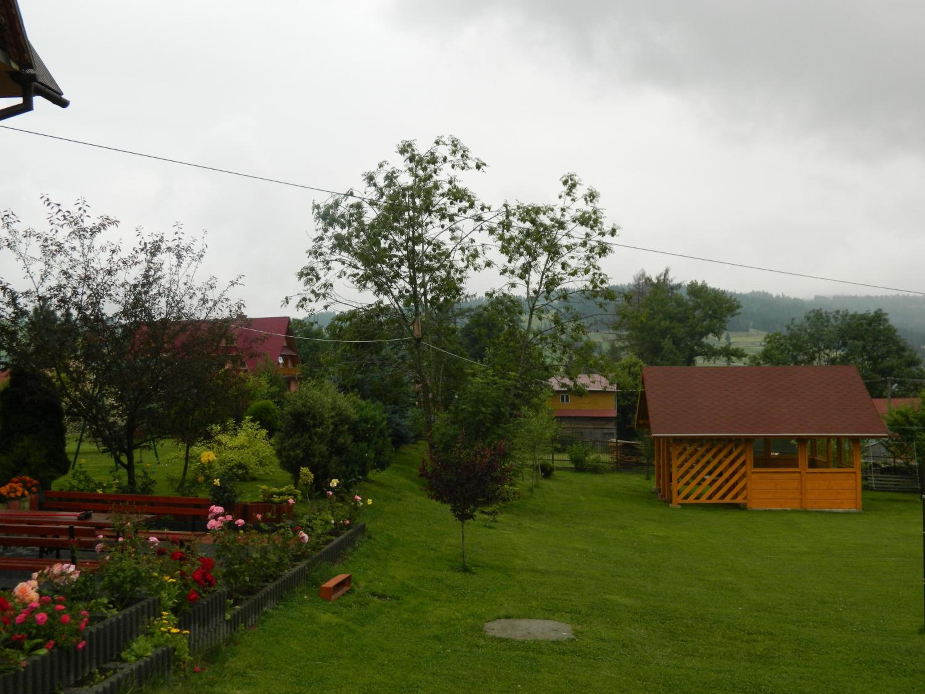 Photo 54