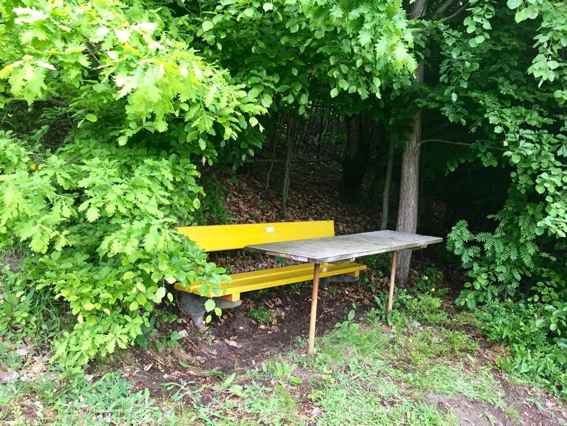 Photo 9