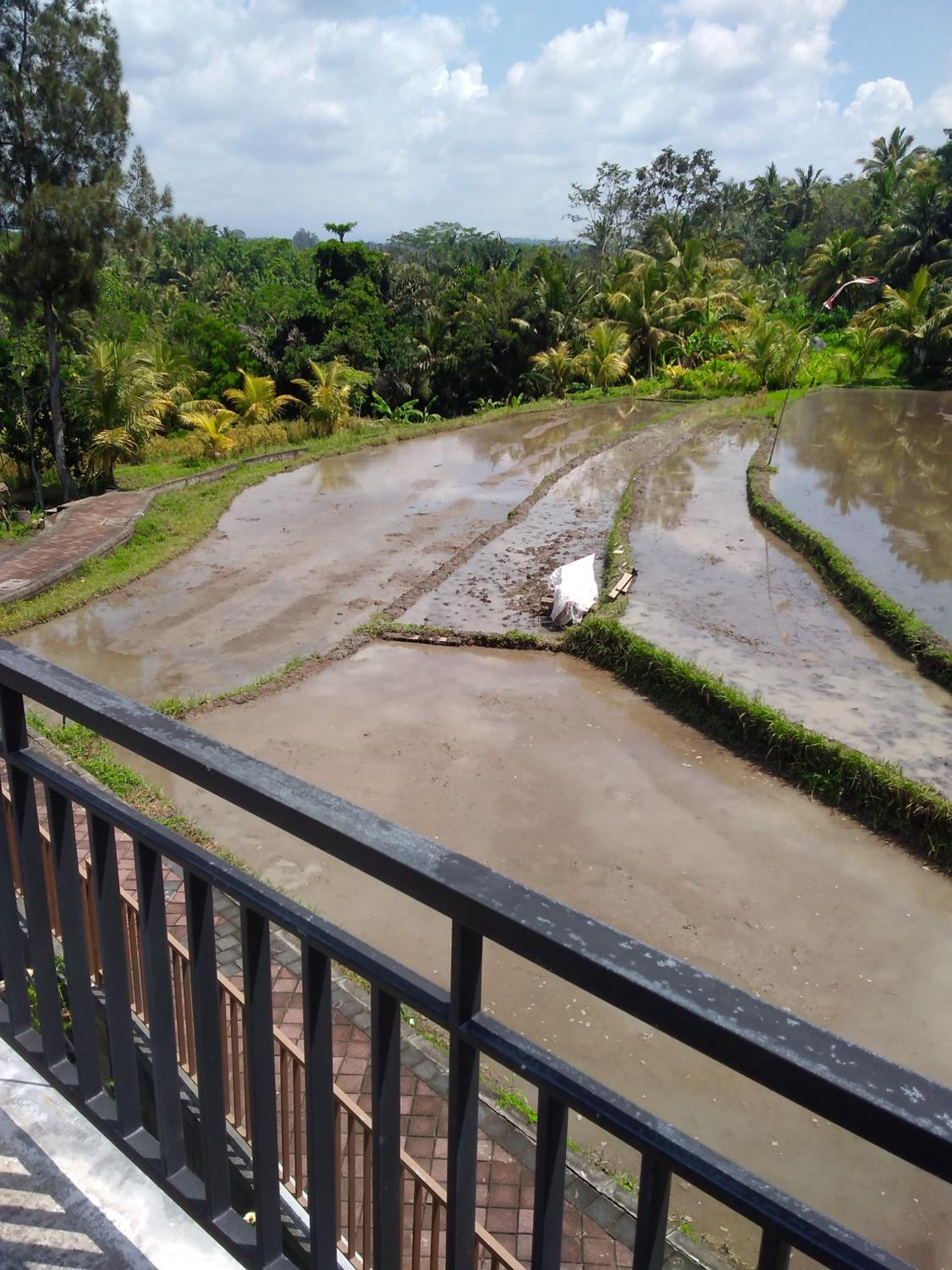Karauci Homestay view 3