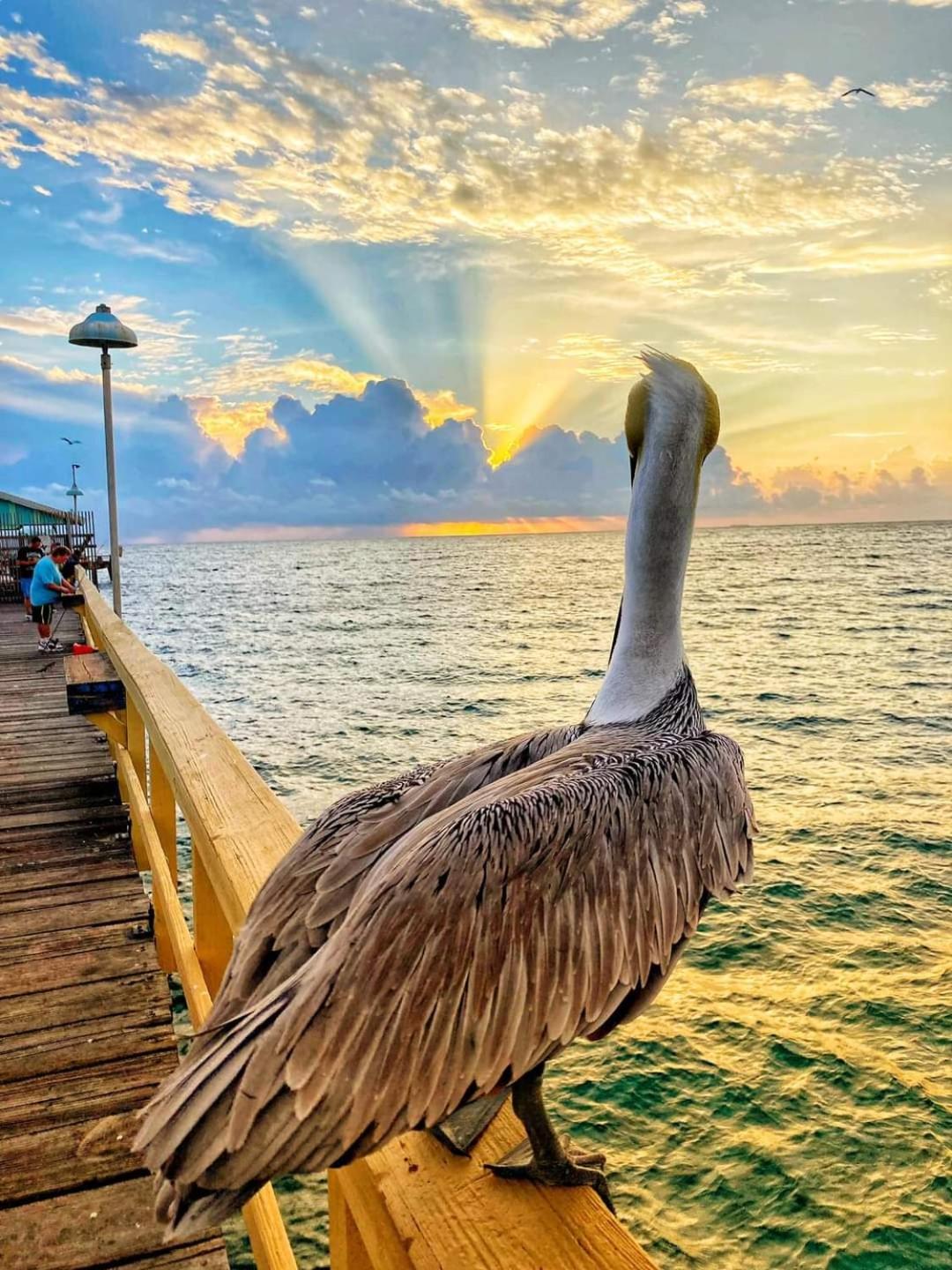 Pompano Beach Hidden Gem view 5