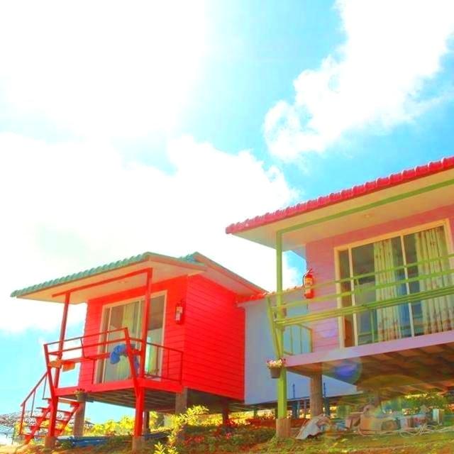 ไร่รุ่งอรุณ ภูทับเบิก view 5