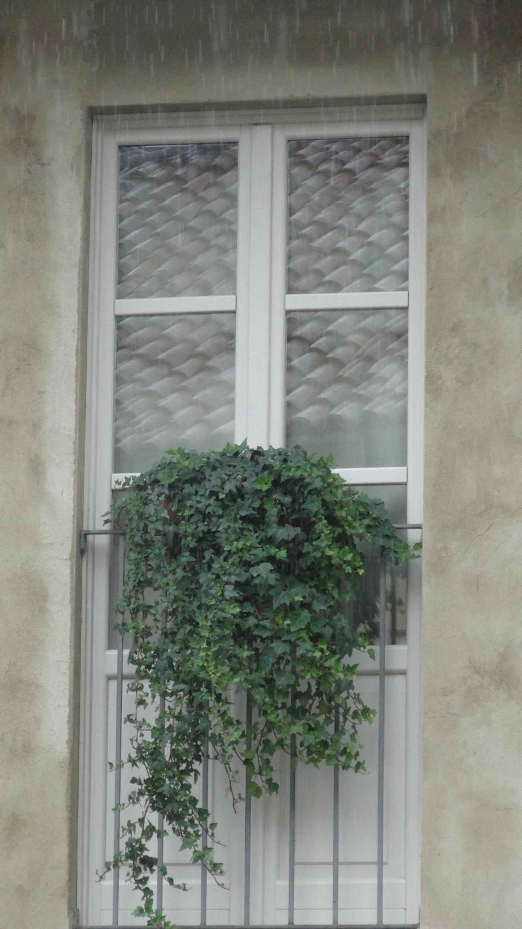 Photo 63
