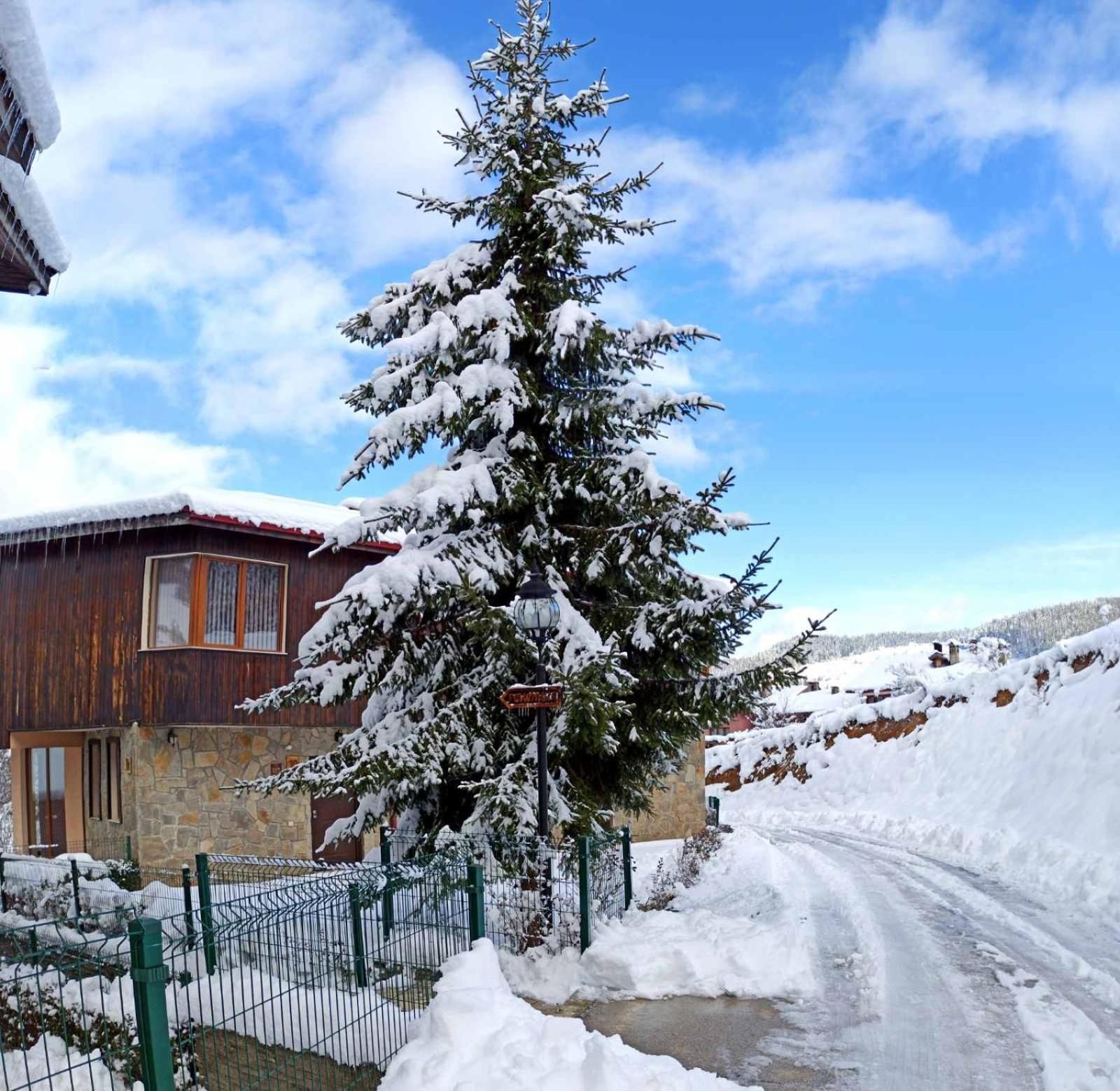 Rodopi Houses