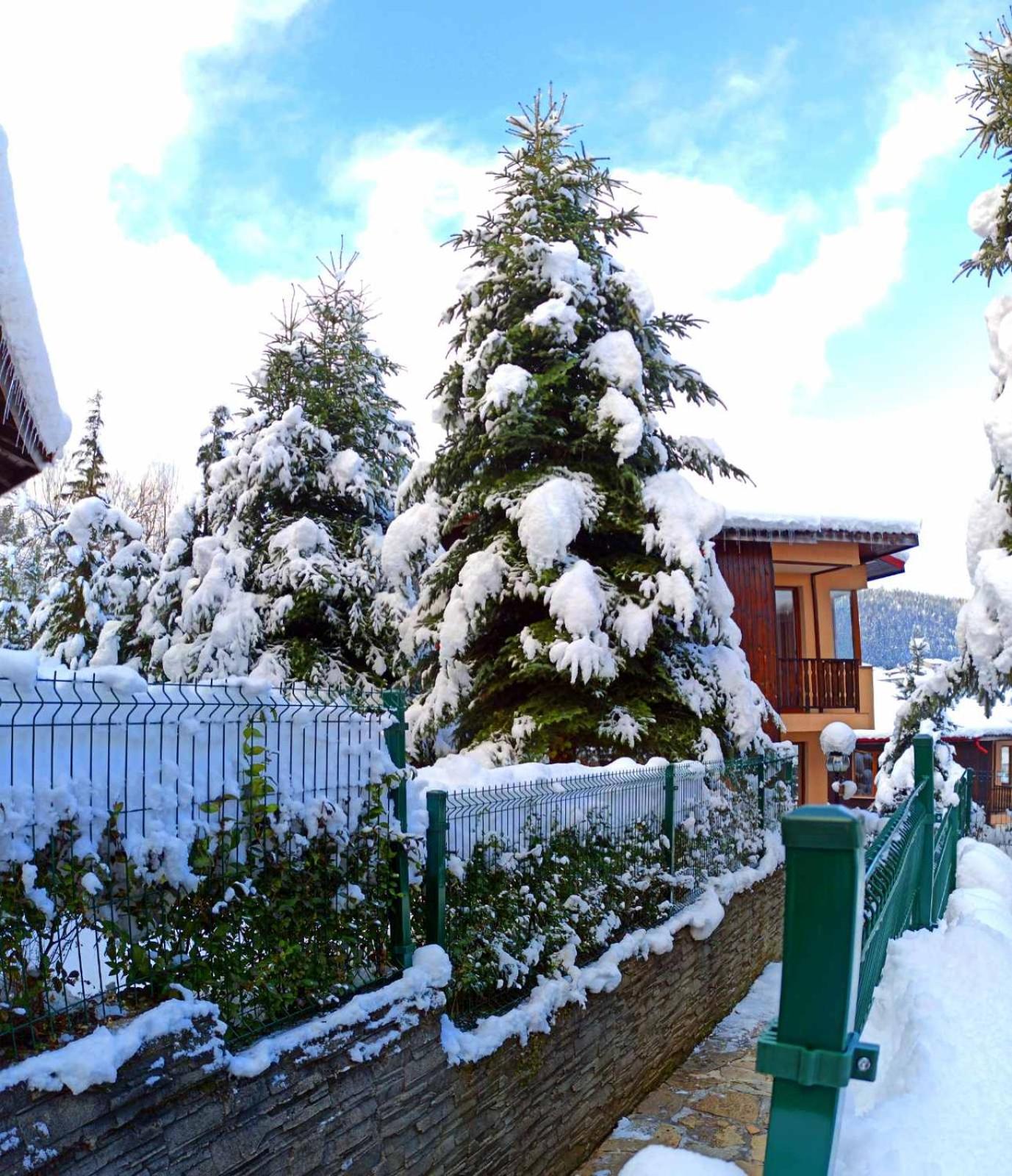 Rodopi Houses