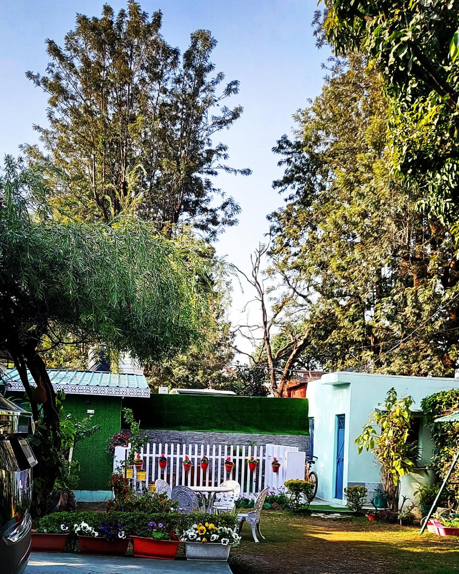 Olive Greens Homestay view 2