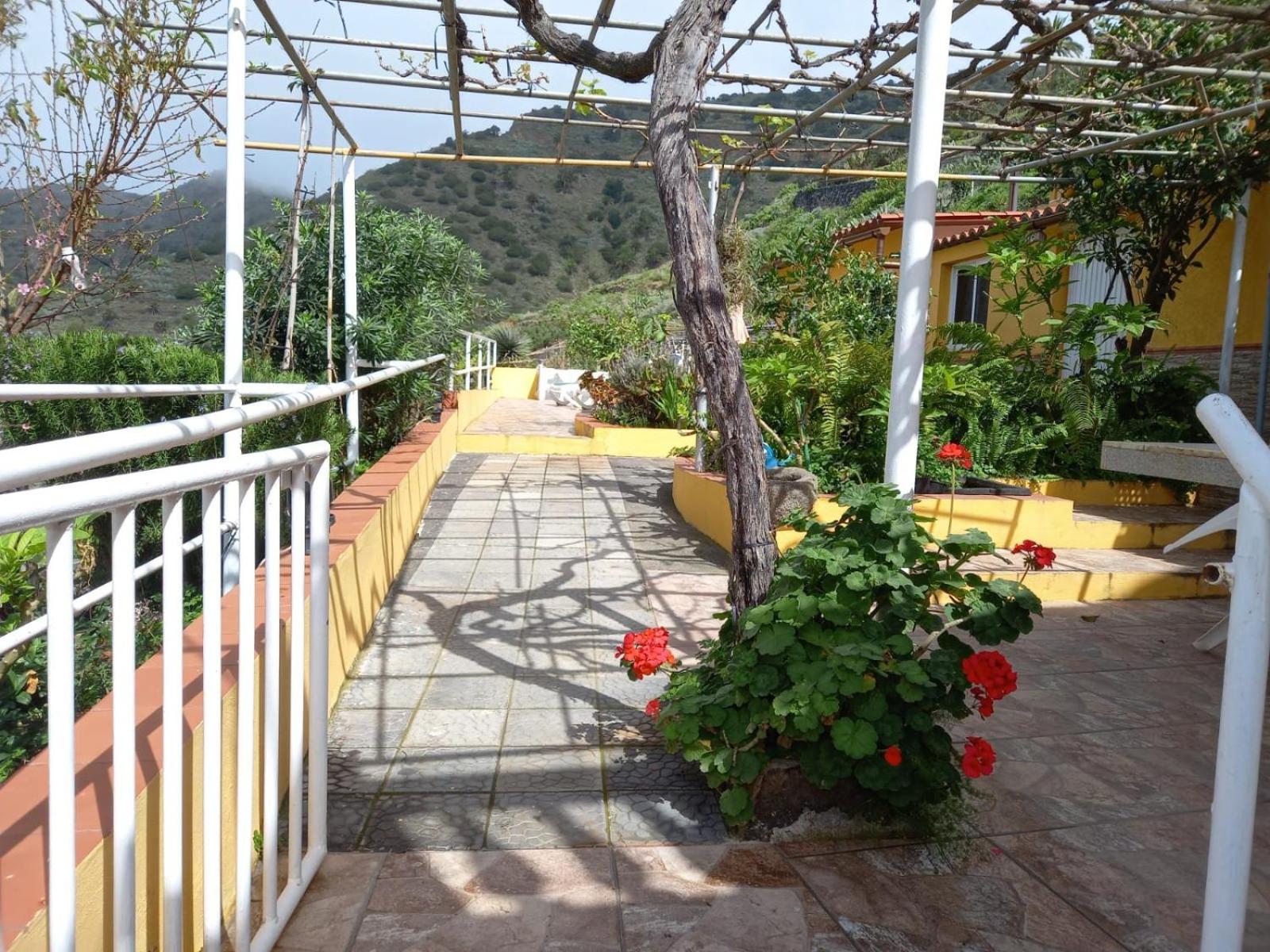 Orange House view 4
