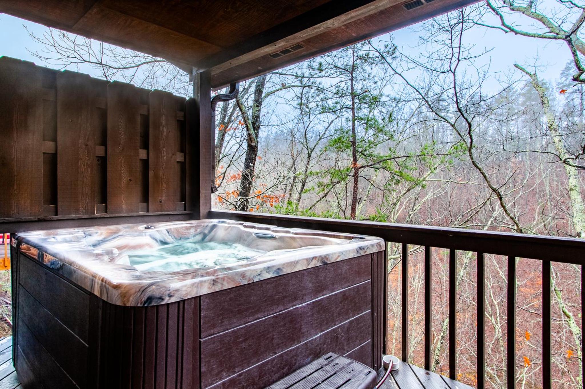 Mountain Retreat WC Possible with Hot Tub view 3