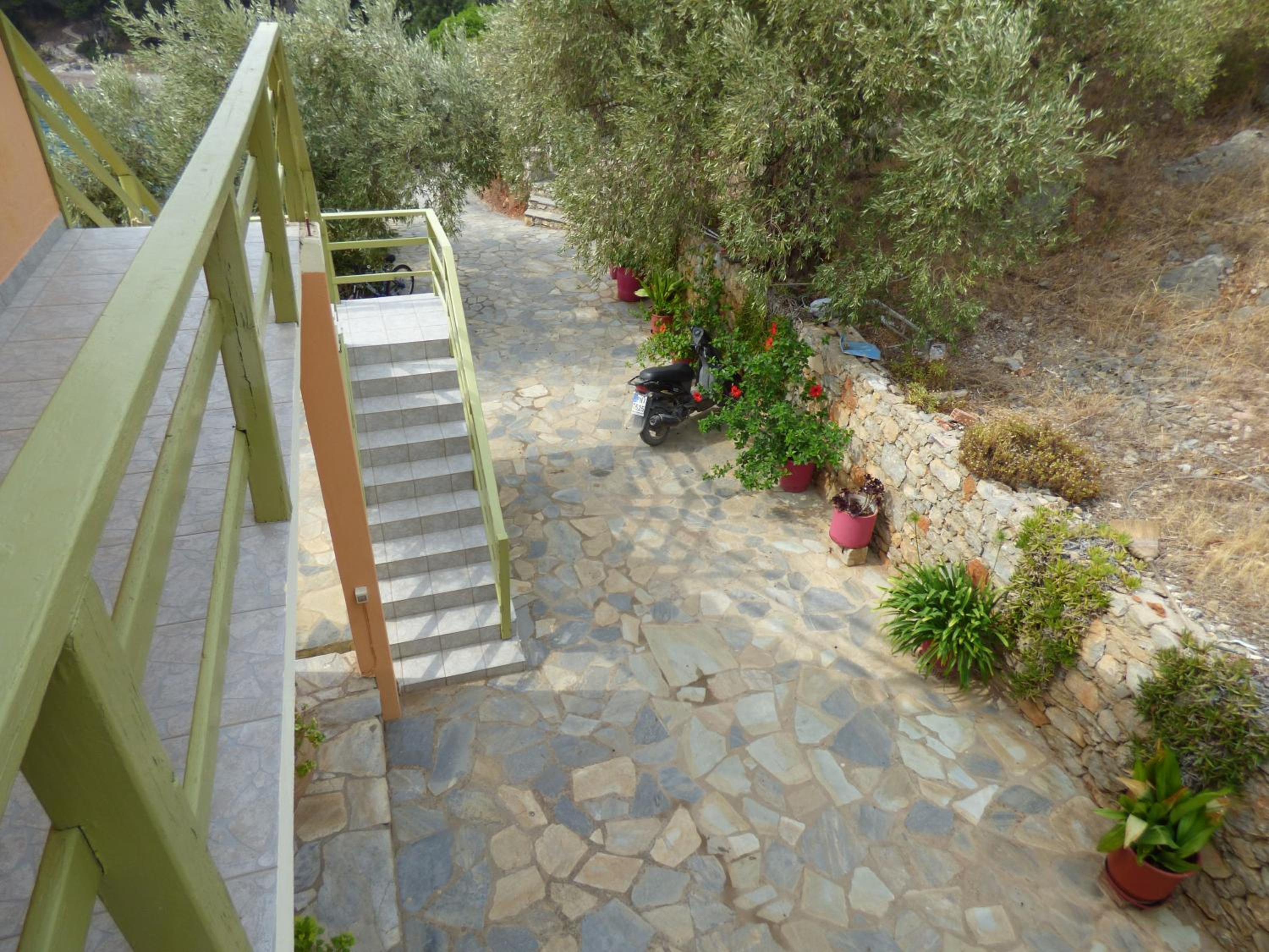 Photo 21