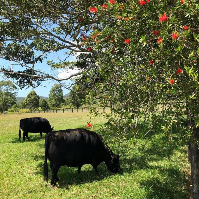 Katandra Homestead, farm on the lake, close to beaches and national park