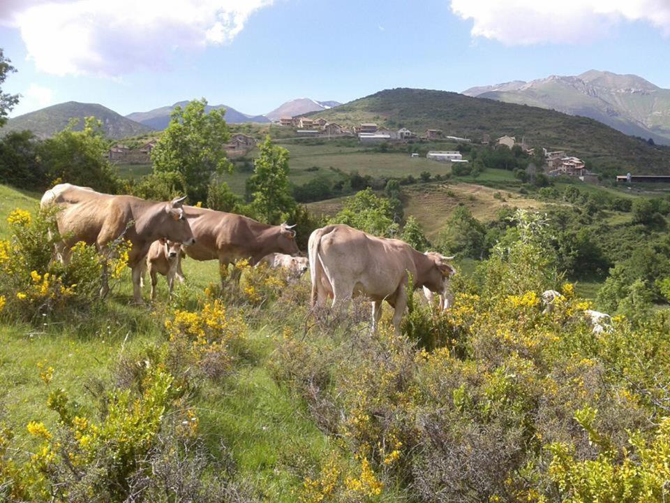 Turismo Rural Castell view 5
