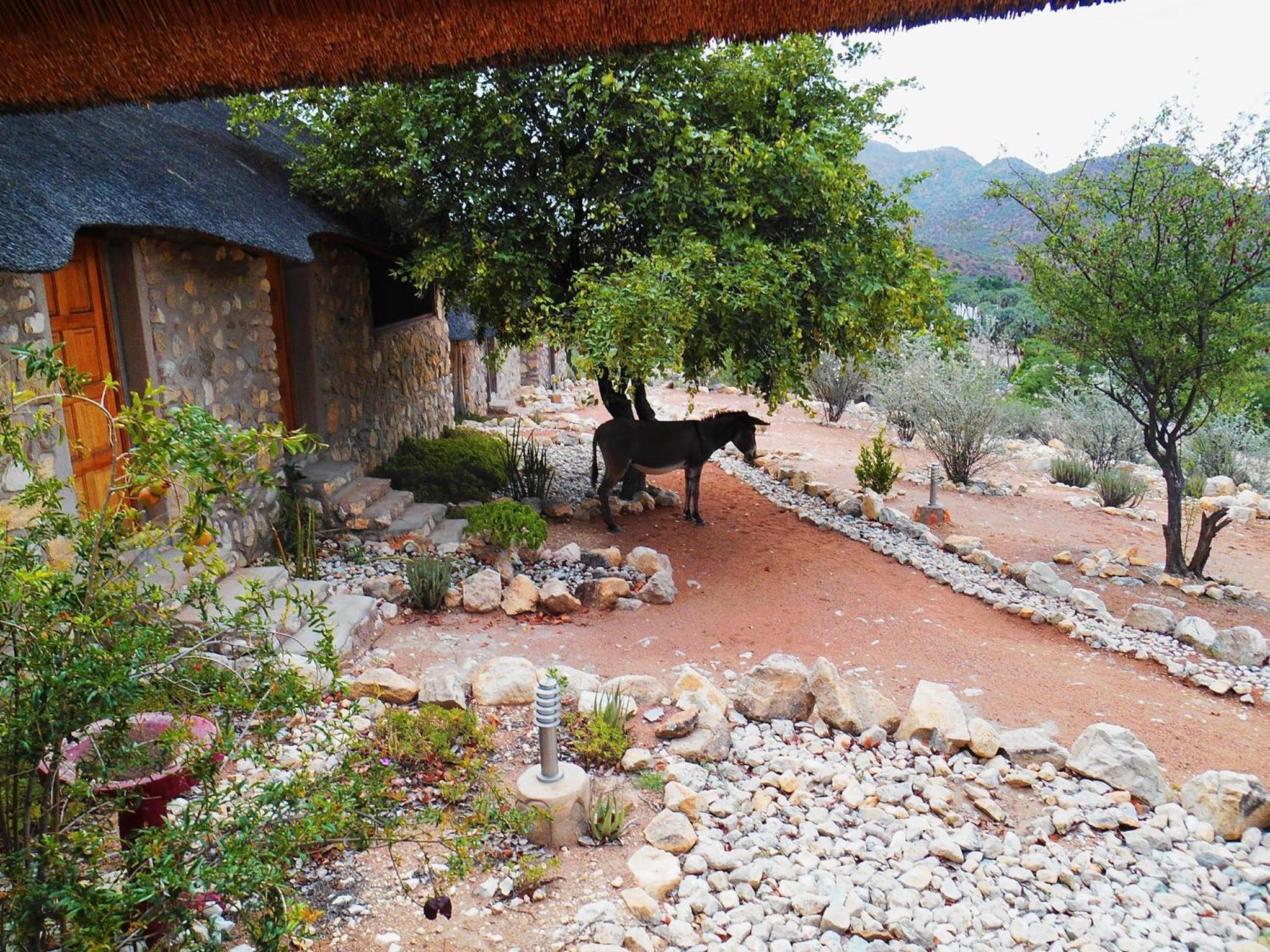 Kapika Waterfall Lodge