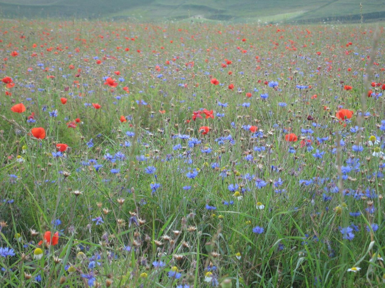 Lago Secco Bed & Breakfast Country House photo 4