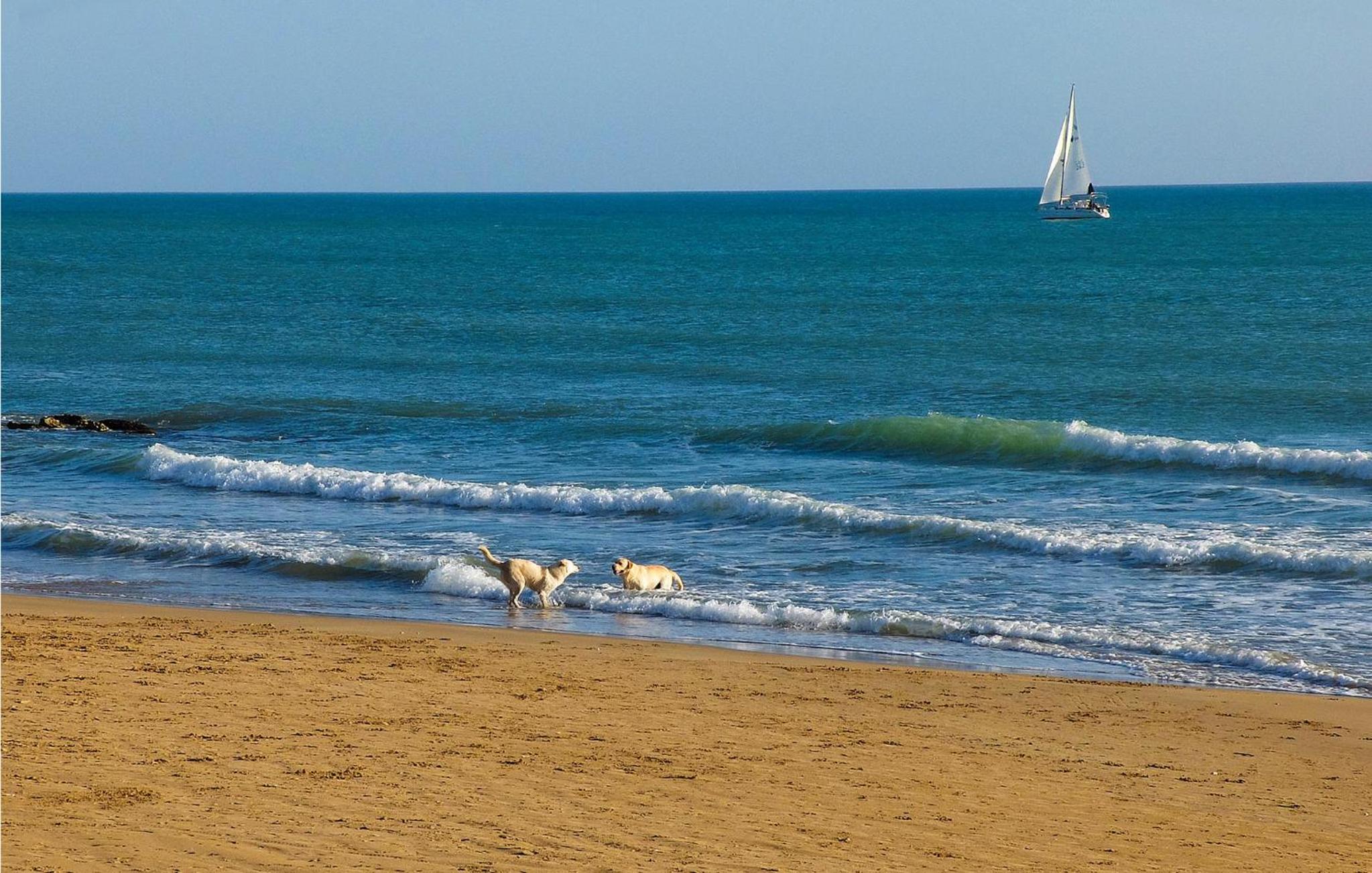 Pet Friendly Home In Ragusa