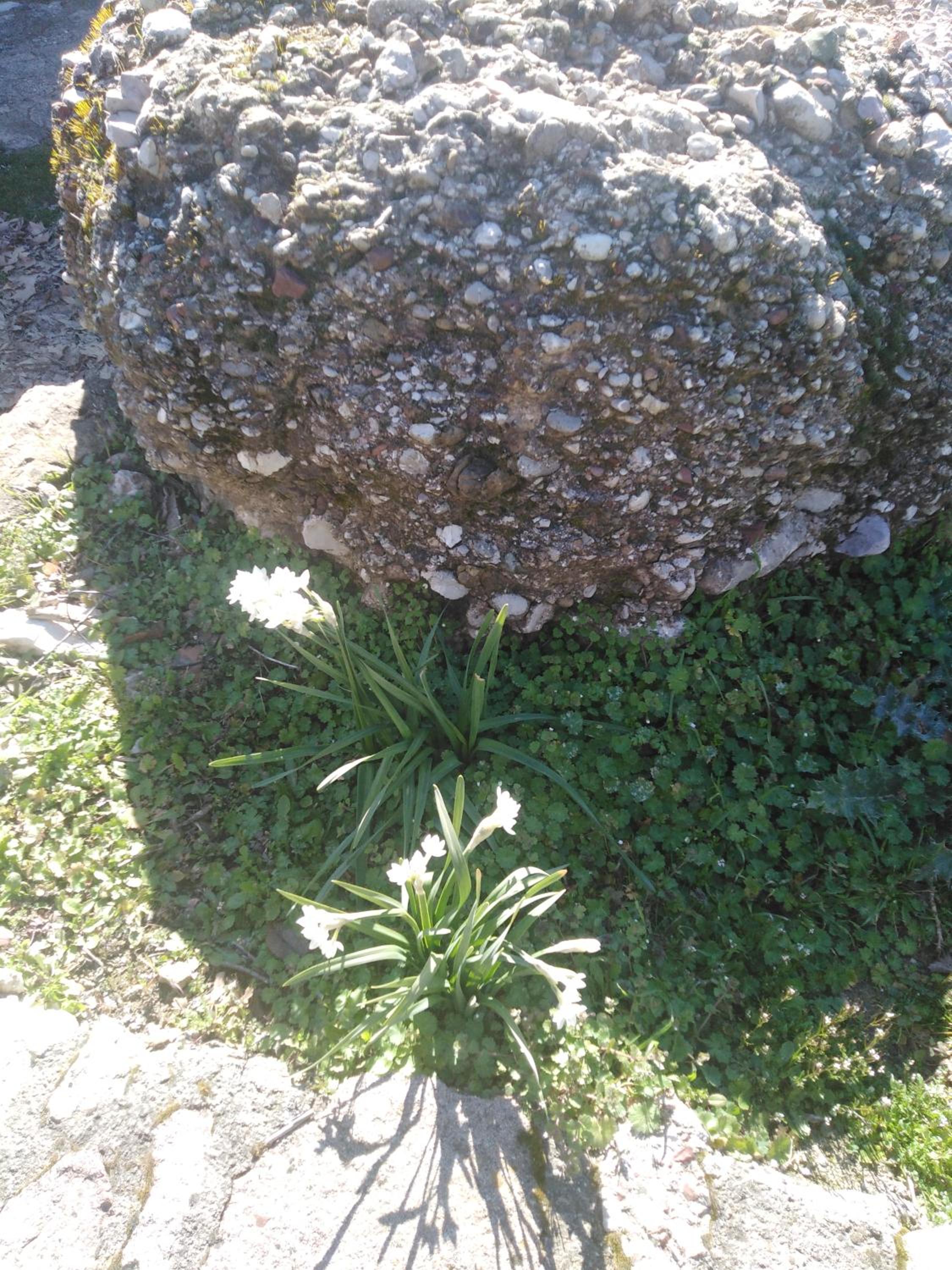 Photo 37