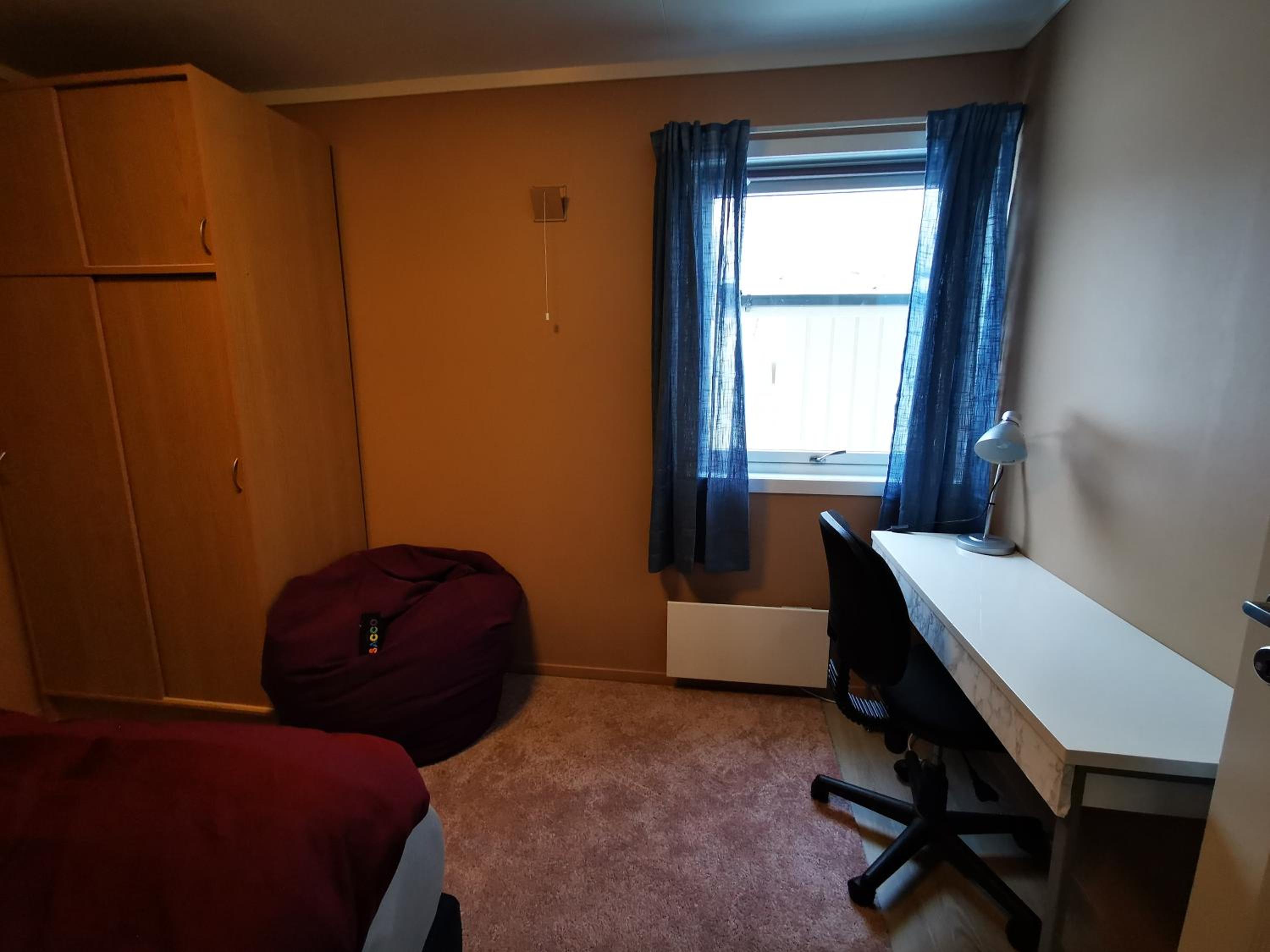 Photo 15