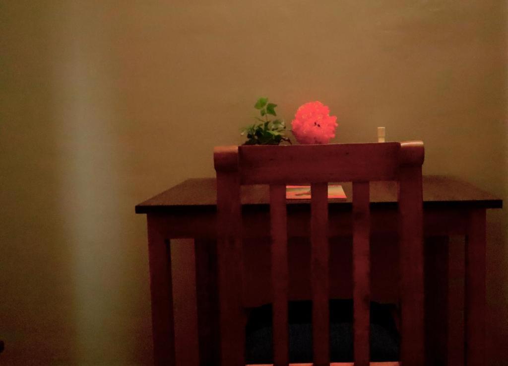 Pinks homestay AC Rs 400 per day