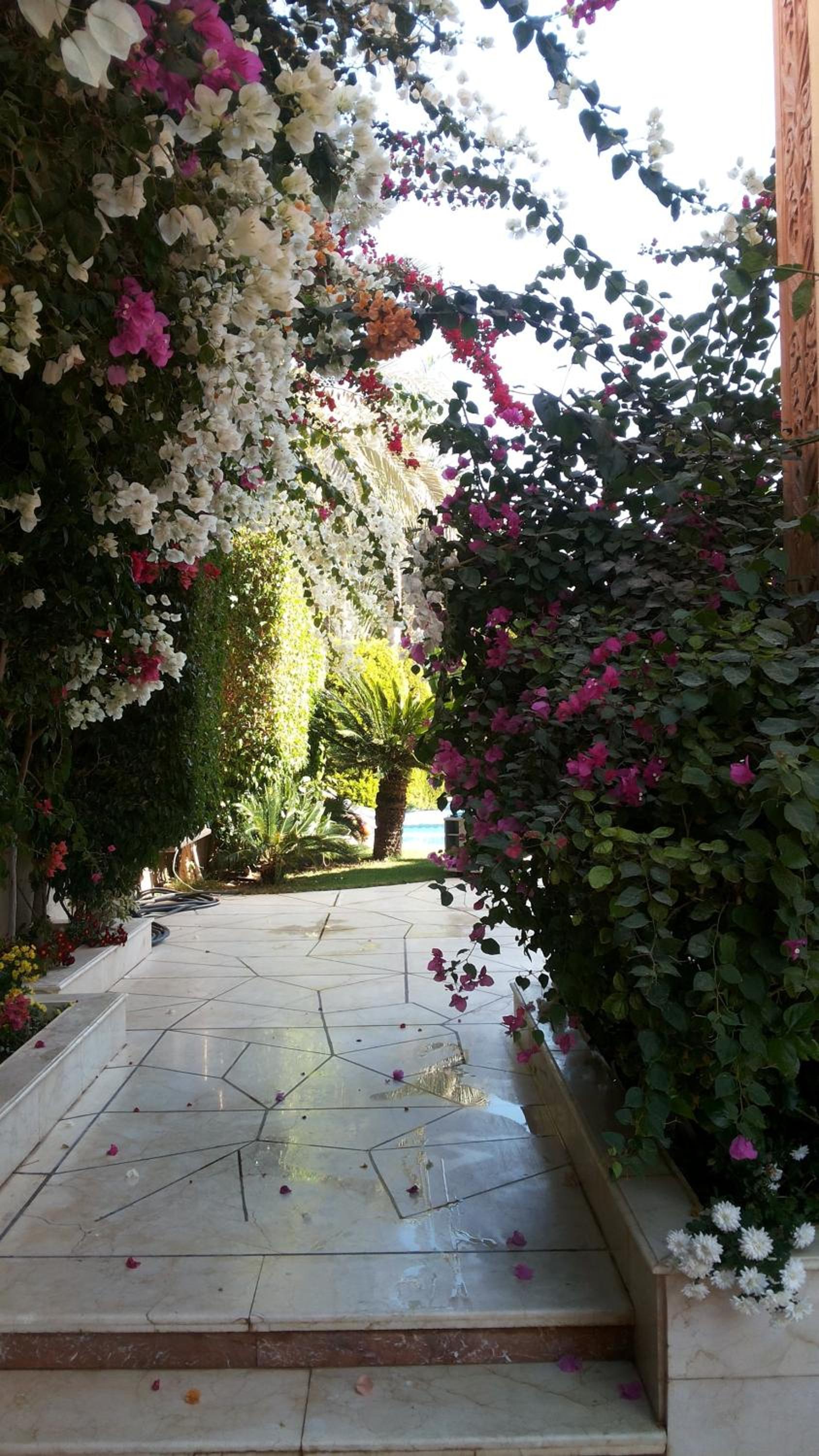 Stella Di Mare Ain Sokhna Beautiful Luxurious Villa view 4