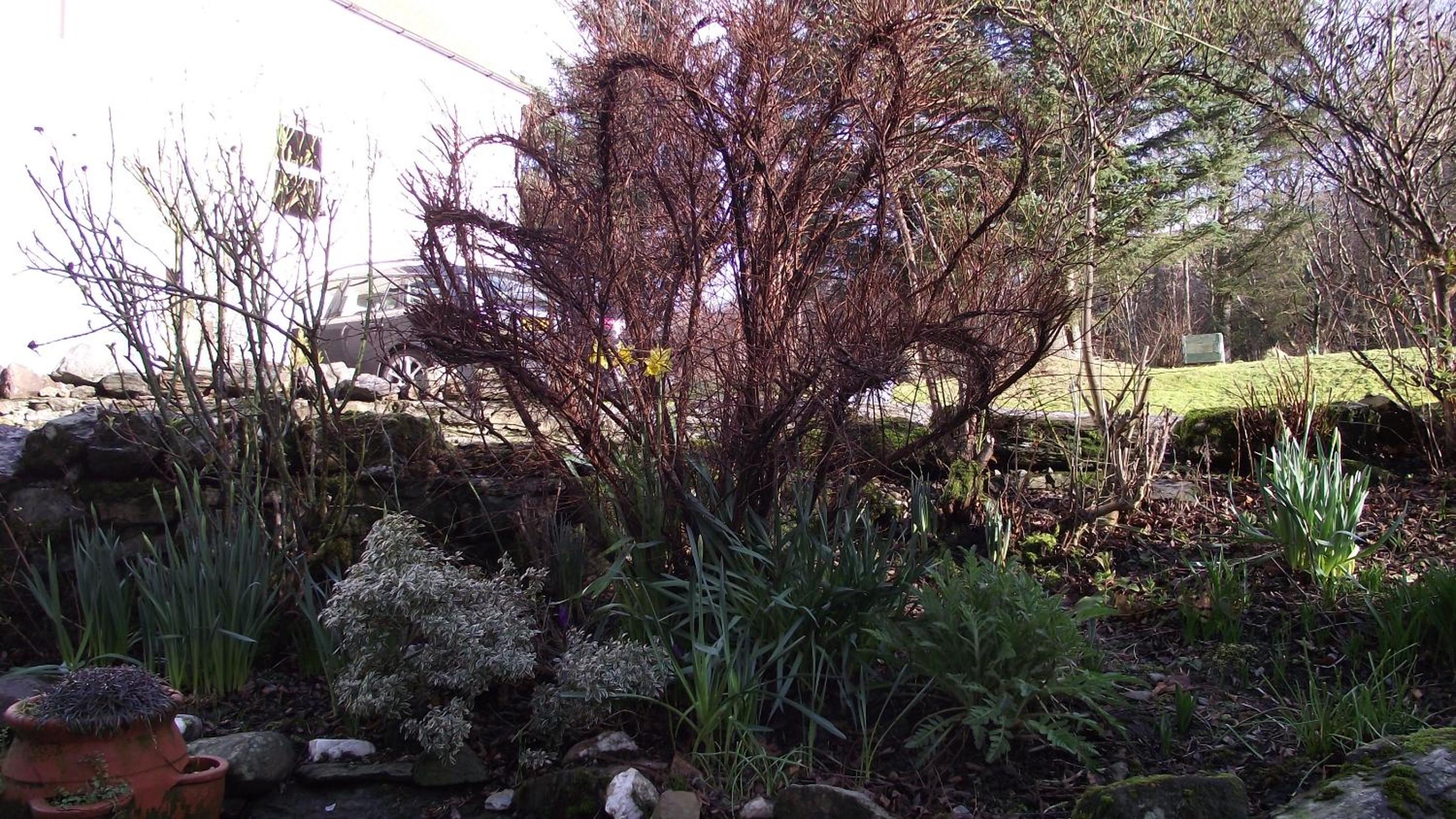 Photo 31