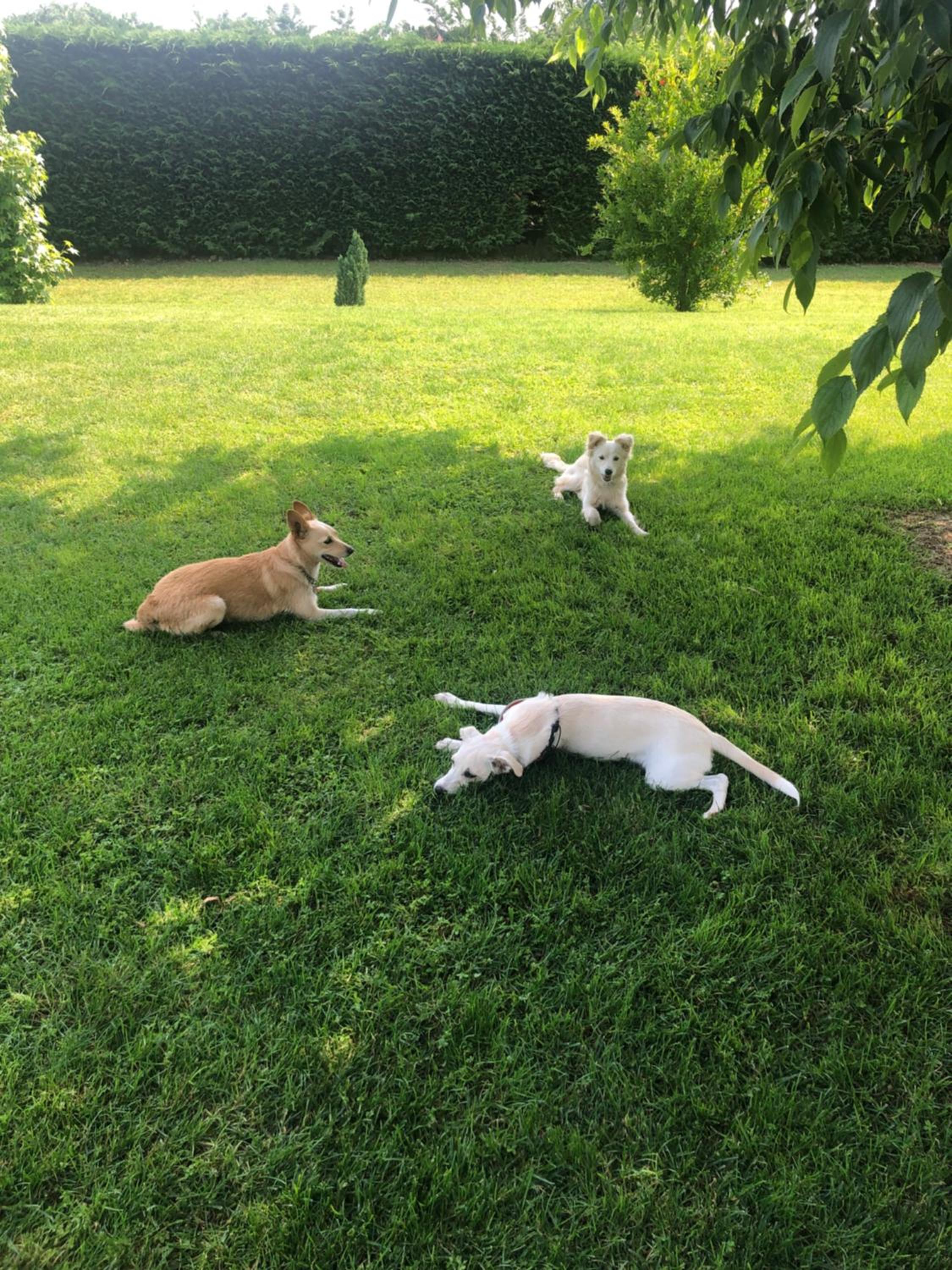 Photo 46