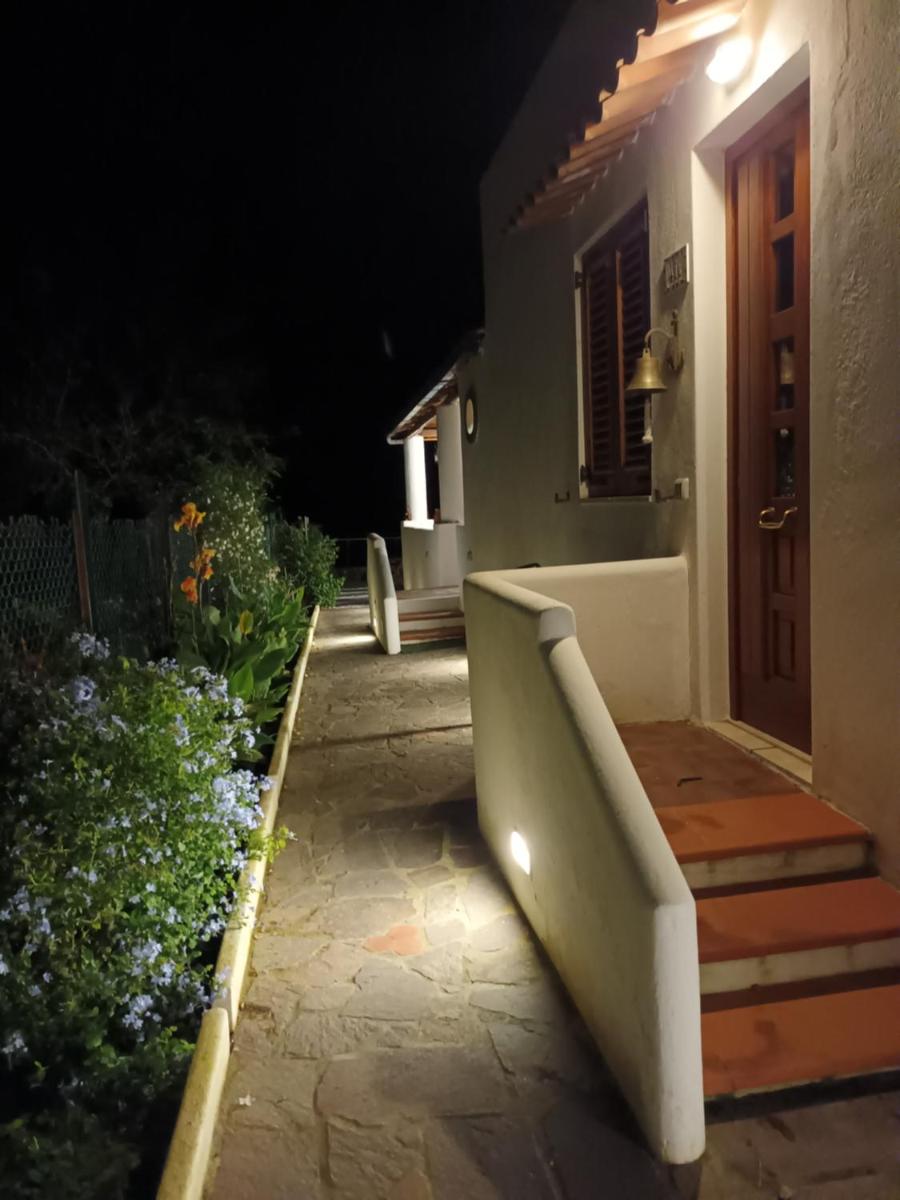 Photo 54